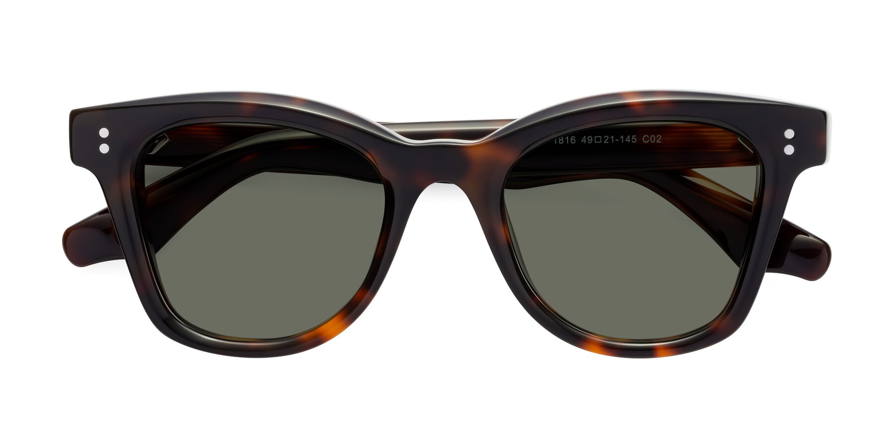 Folded Front of Dragon in Tortoise with Gray Polarized Lenses