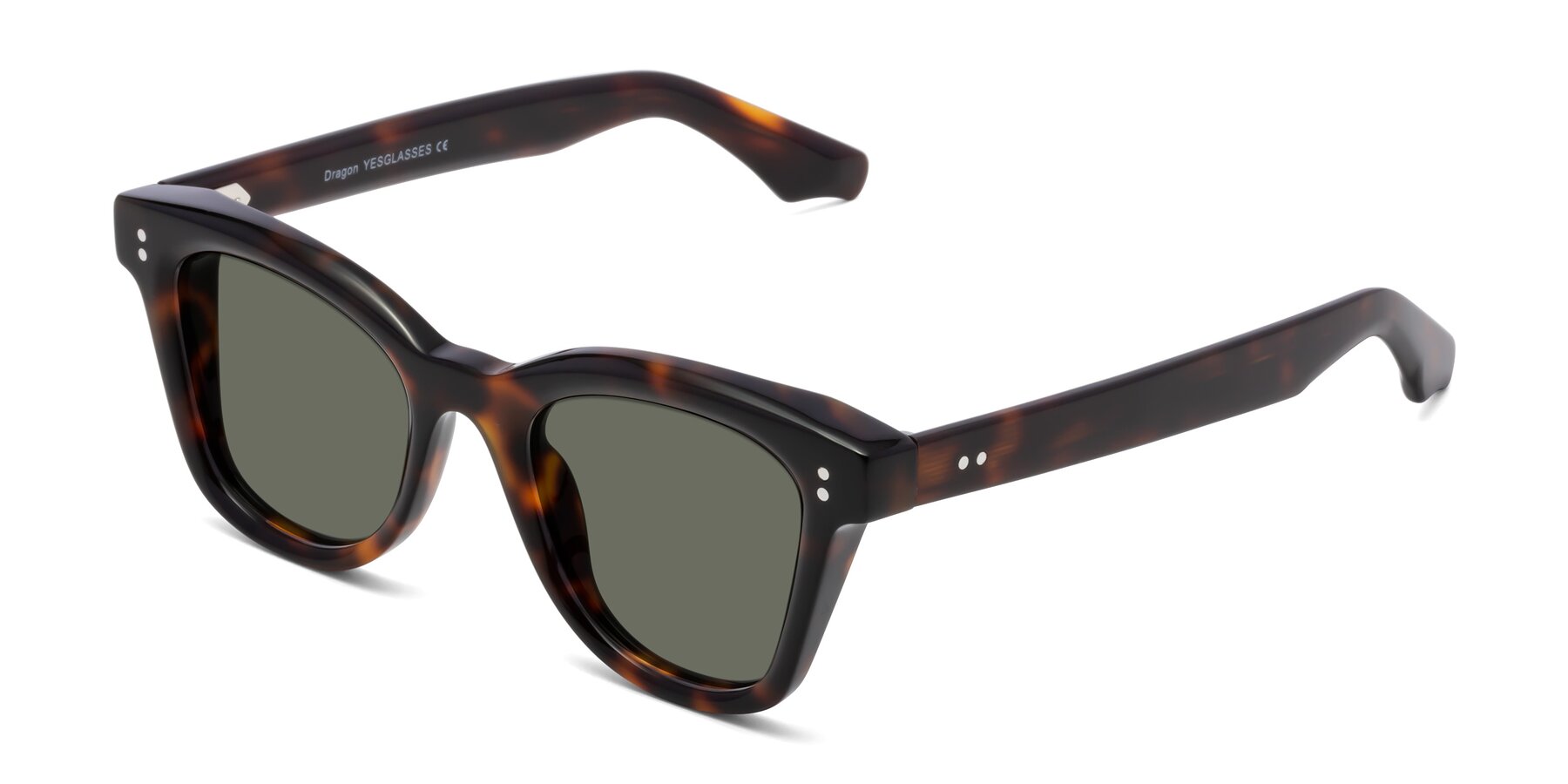 Angle of Dragon in Tortoise with Gray Polarized Lenses