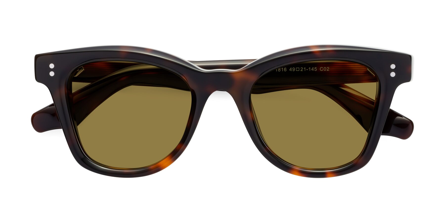 Folded Front of Dragon in Tortoise with Brown Polarized Lenses