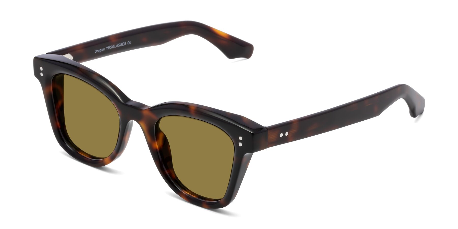 Angle of Dragon in Tortoise with Brown Polarized Lenses