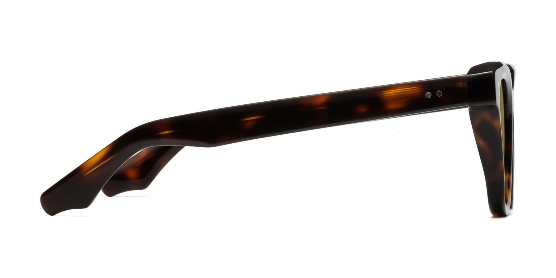 Side of Dragon in Tortoise with Brown Polarized Lenses