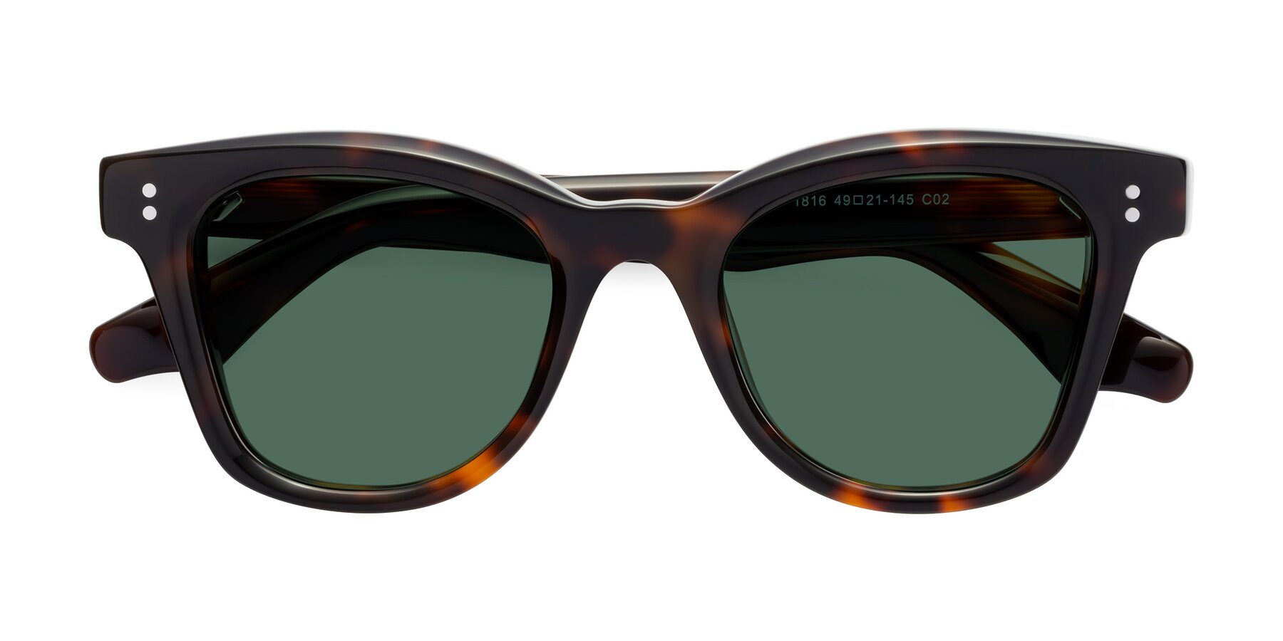 Folded Front of Dragon in Tortoise with Green Polarized Lenses