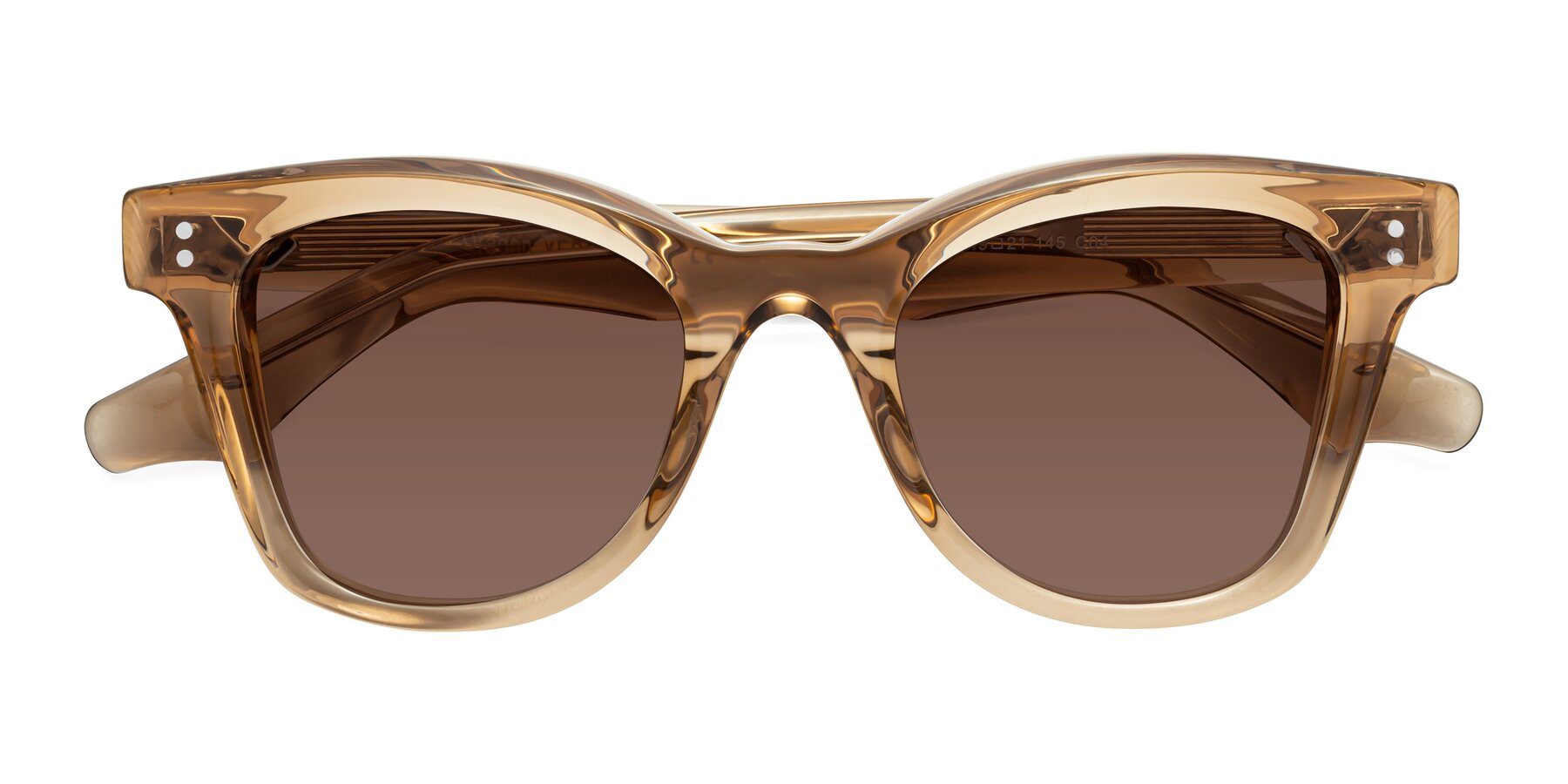 Folded Front of Dragon in Champagne with Brown Tinted Lenses