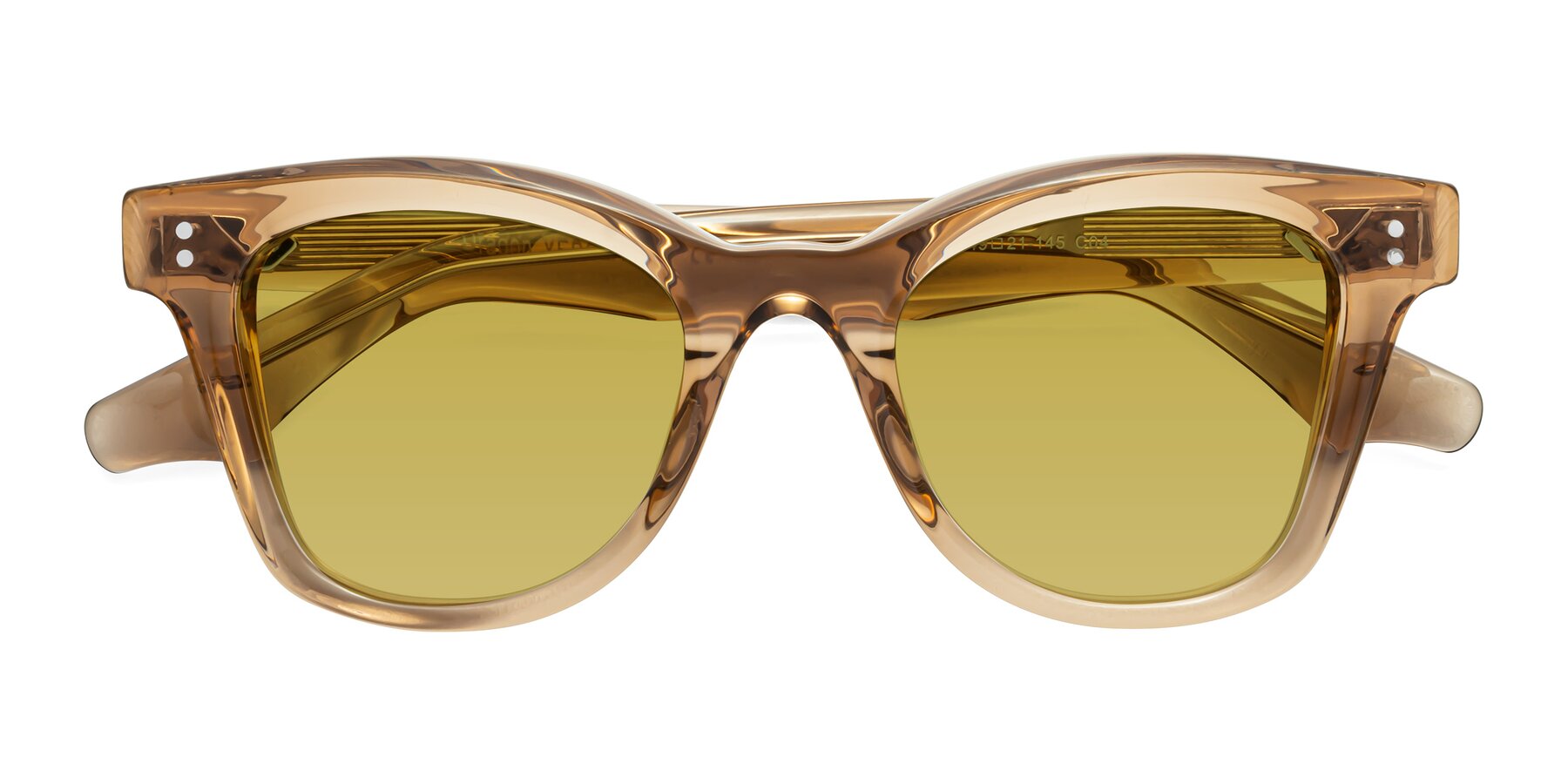 Folded Front of Dragon in Champagne with Champagne Tinted Lenses