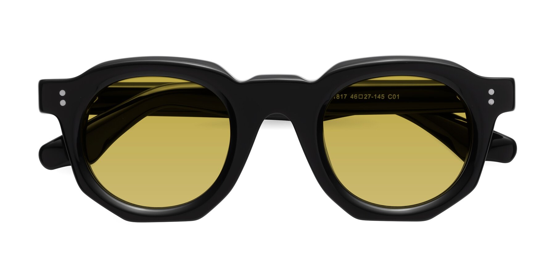 Thick Geek-Chic Geometric Tinted Sunglasses