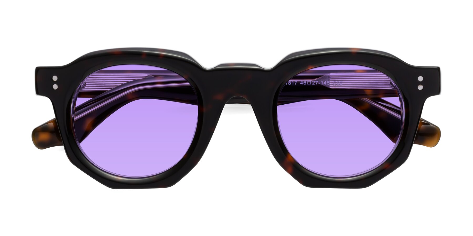 Folded Front of Clio in Tortoise with Medium Purple Tinted Lenses