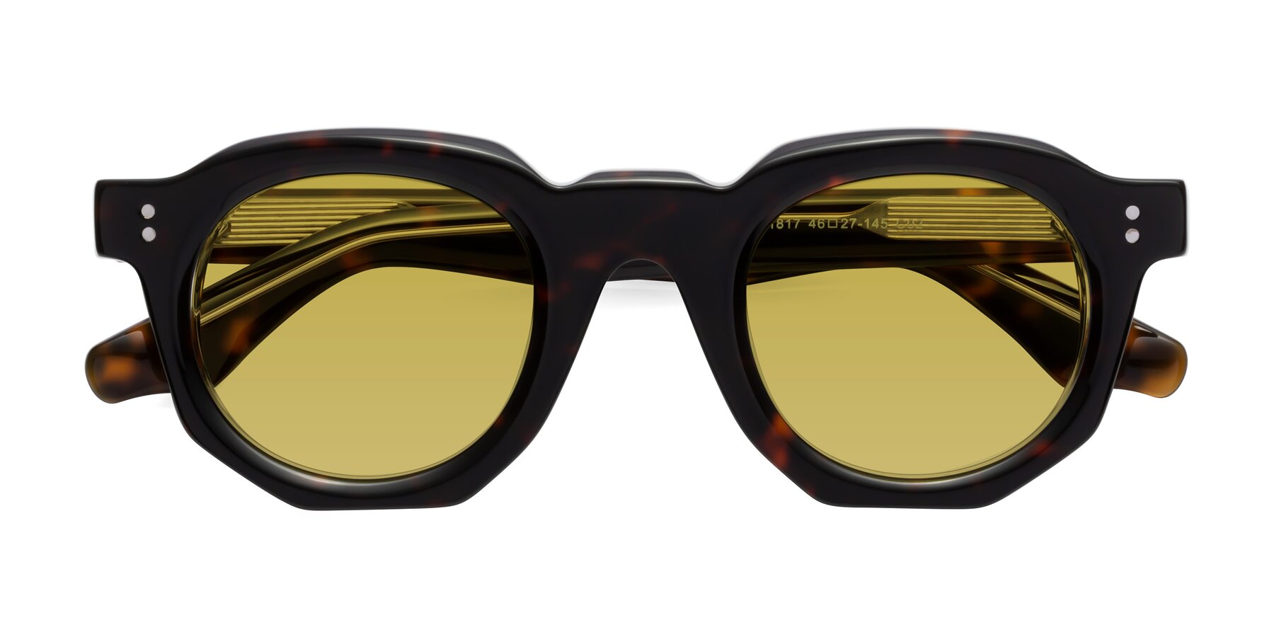 Tortoise Thick Geek-Chic Geometric Tinted Sunglasses with Medium Yellow Sunwear Lenses