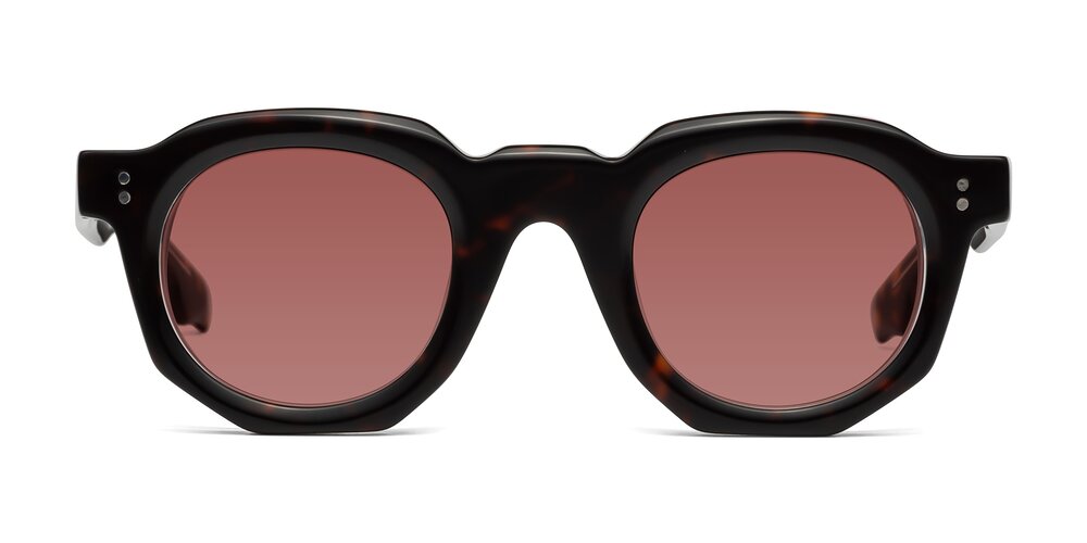 Clio - Tortoise Tinted Sunglasses