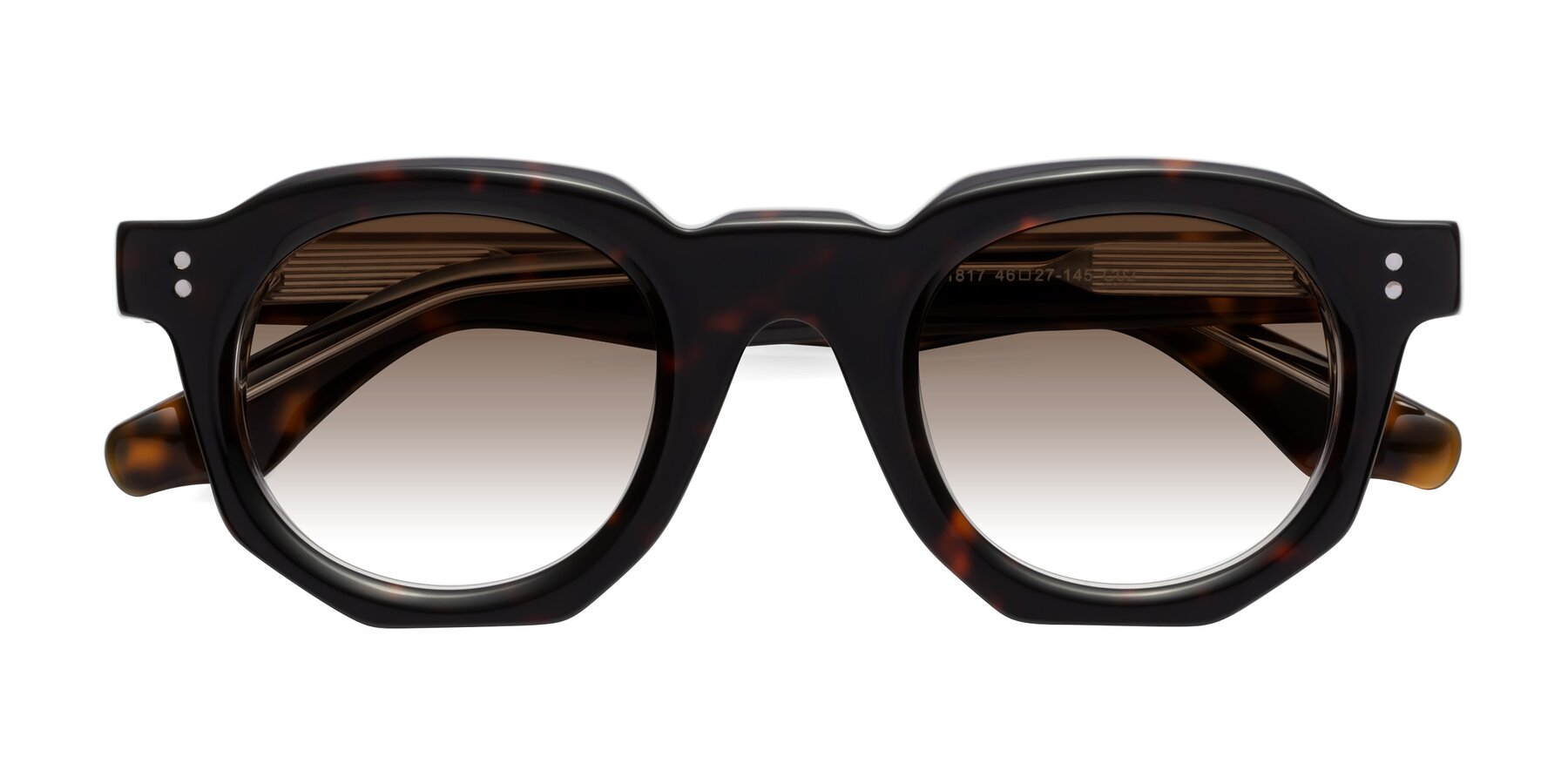 Folded Front of Clio in Tortoise with Brown Gradient Lenses