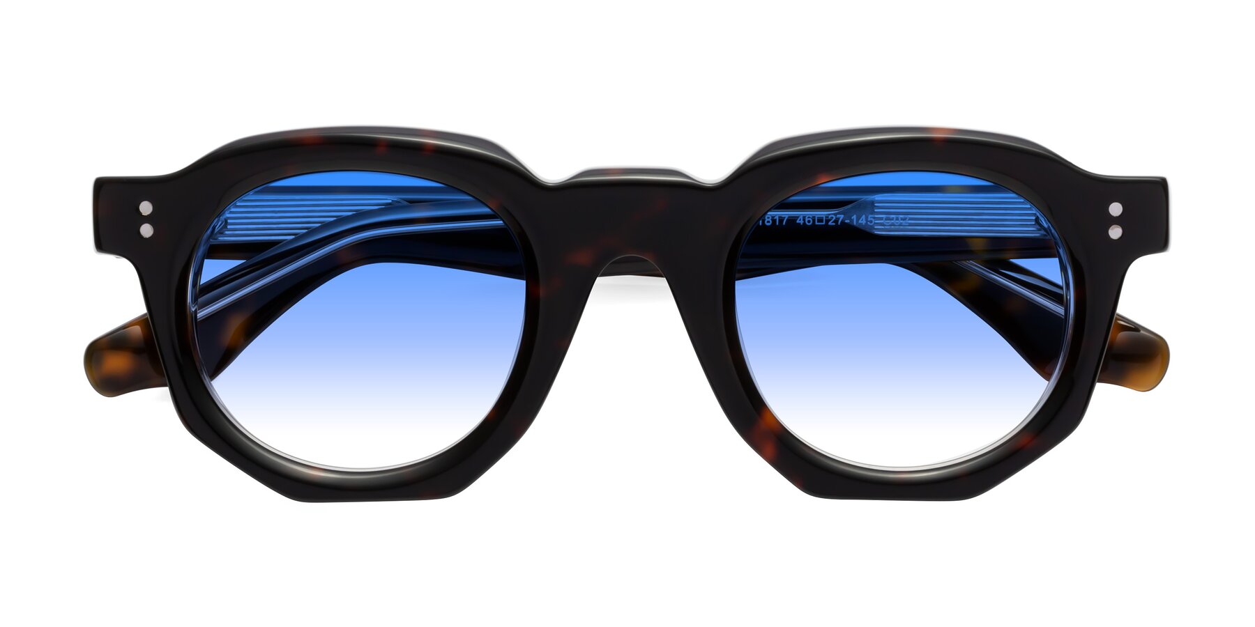 Folded Front of Clio in Tortoise with Blue Gradient Lenses