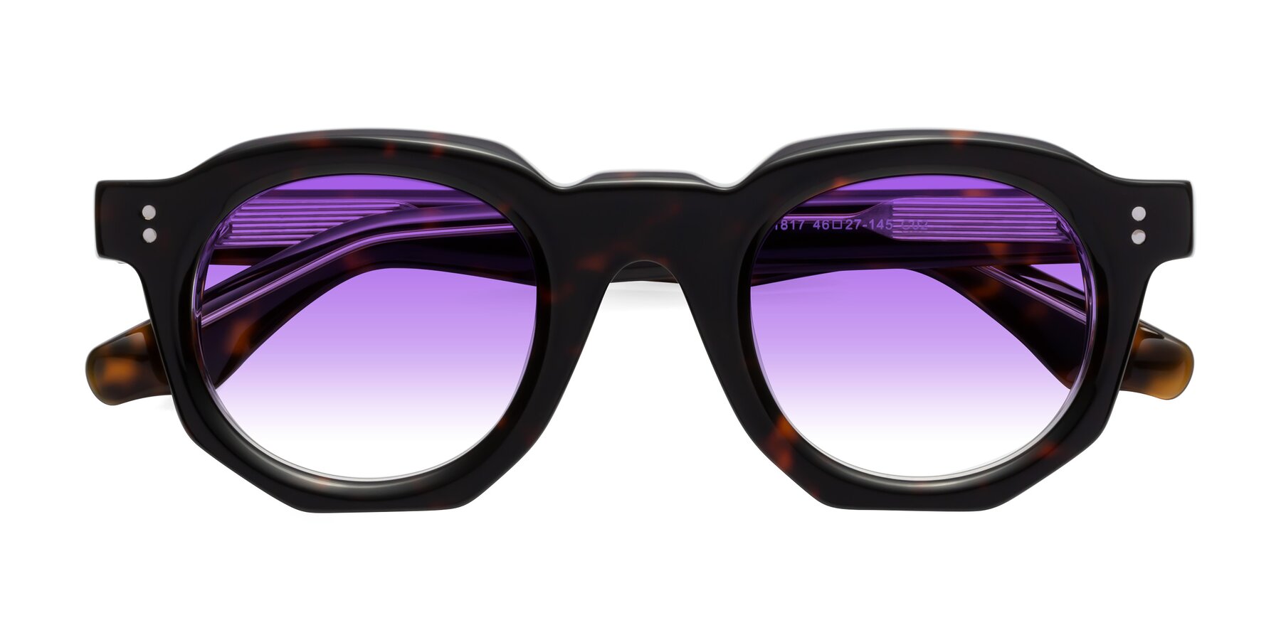 Folded Front of Clio in Tortoise with Purple Gradient Lenses