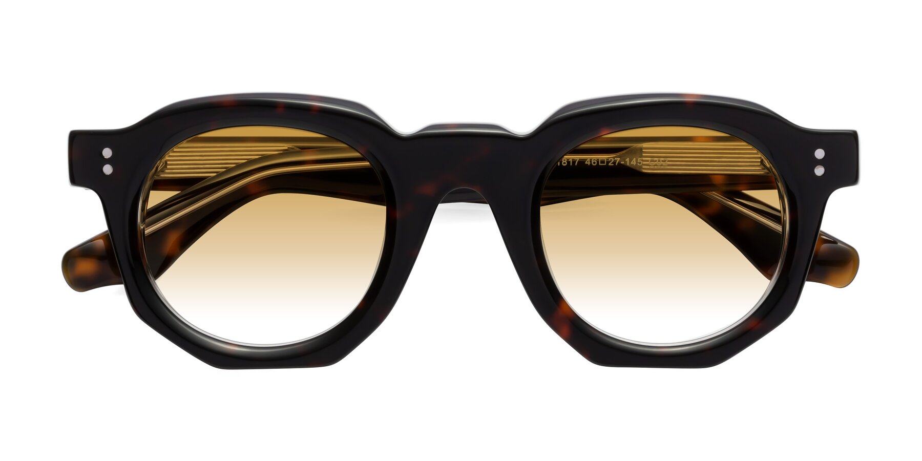 Folded Front of Clio in Tortoise with Champagne Gradient Lenses