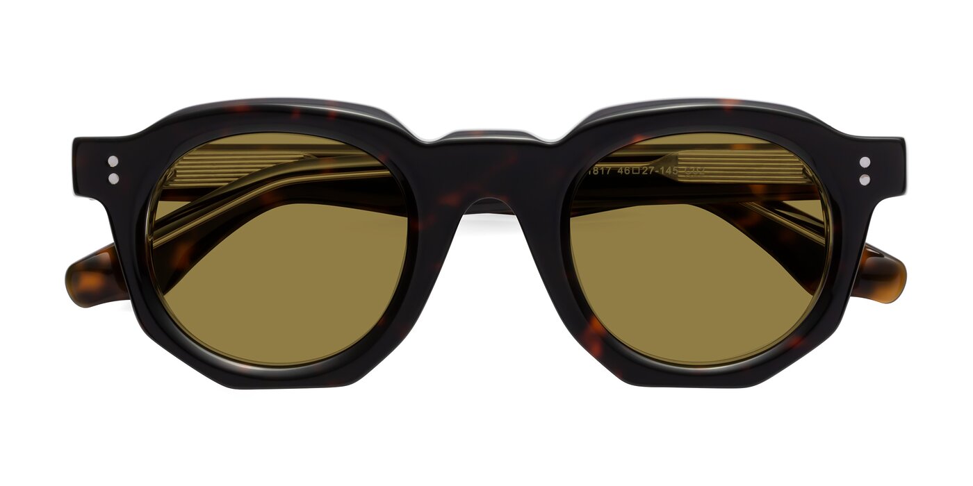 Clio - Tortoise Polarized Sunglasses