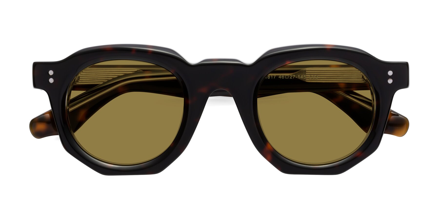 Folded Front of Clio in Tortoise with Brown Polarized Lenses