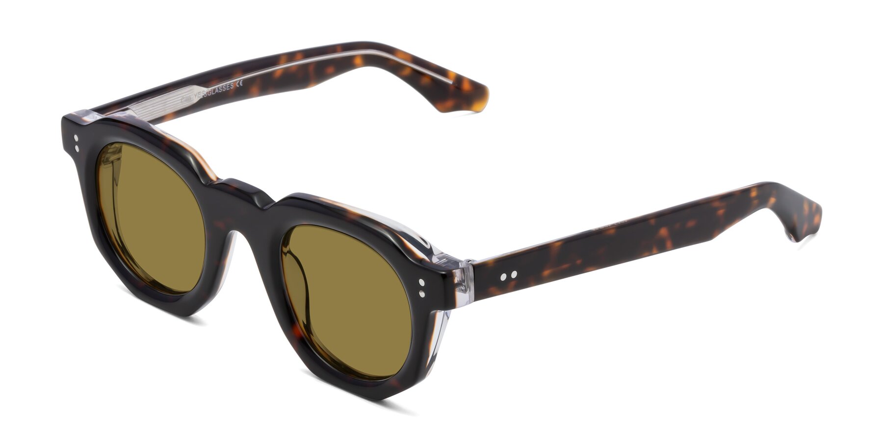 Angle of Clio in Tortoise with Brown Polarized Lenses