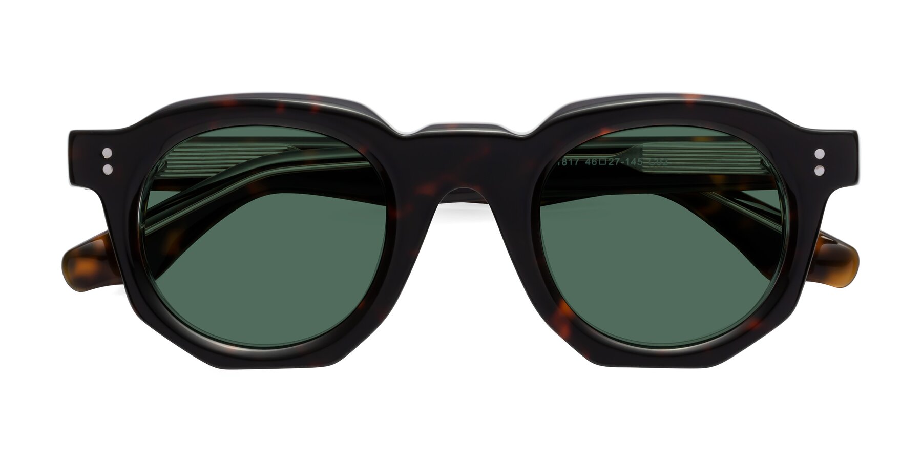 Folded Front of Clio in Tortoise with Green Polarized Lenses