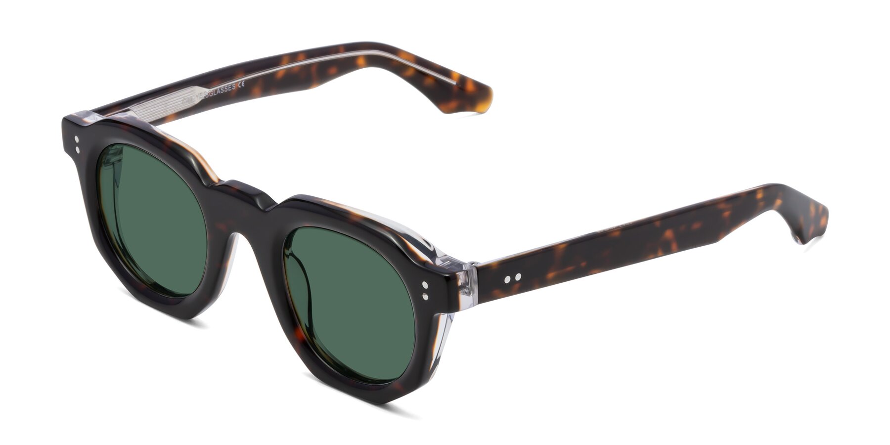 Angle of Clio in Tortoise with Green Polarized Lenses