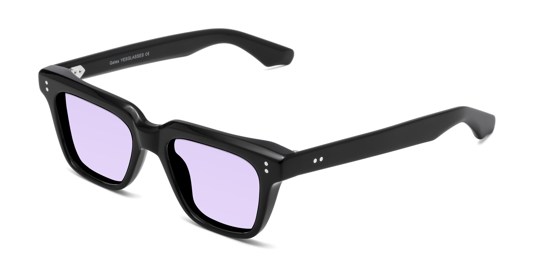 Angle of Gates in Black with Light Purple Tinted Lenses