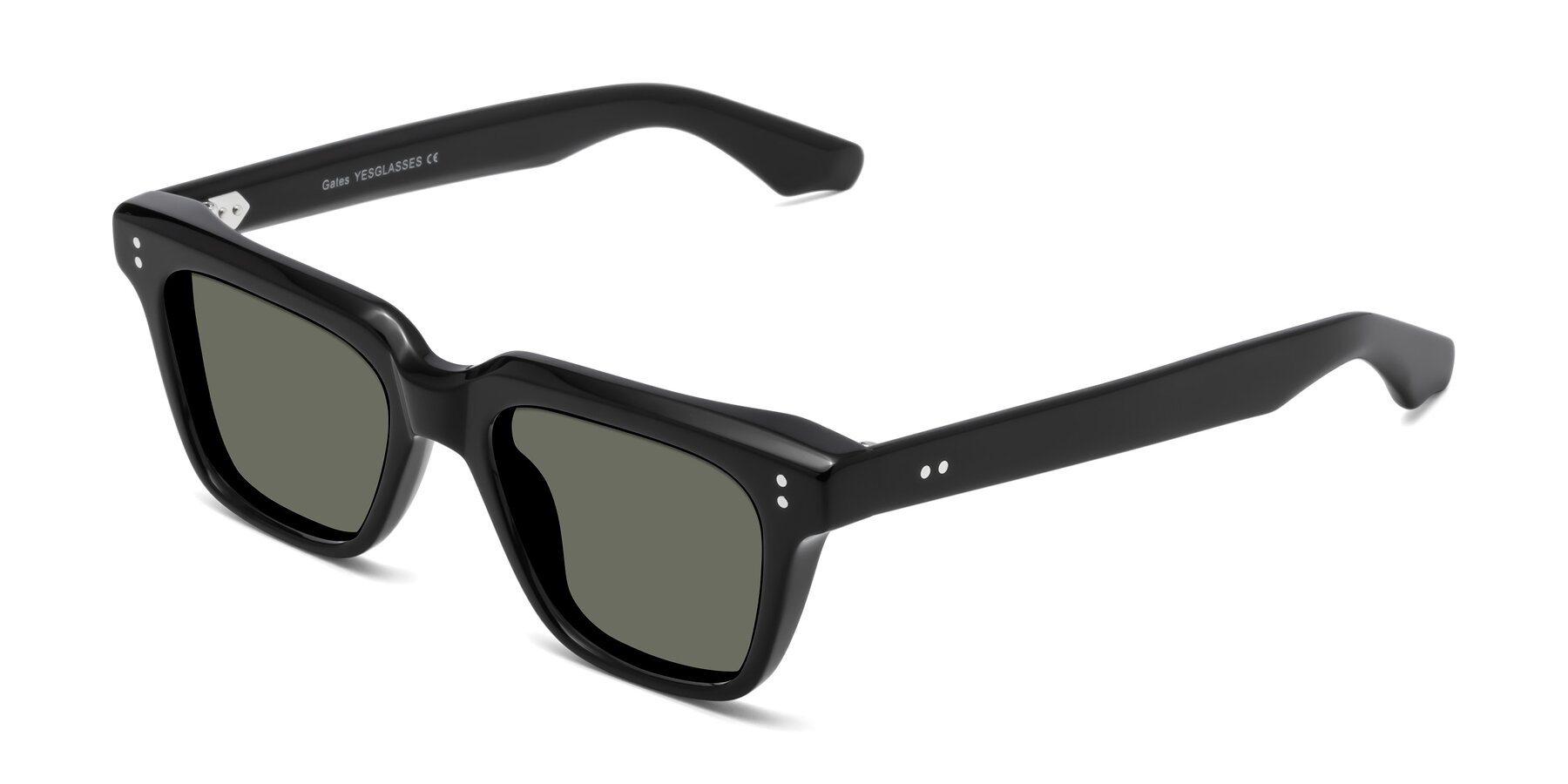 Angle of Gates in Black with Gray Polarized Lenses