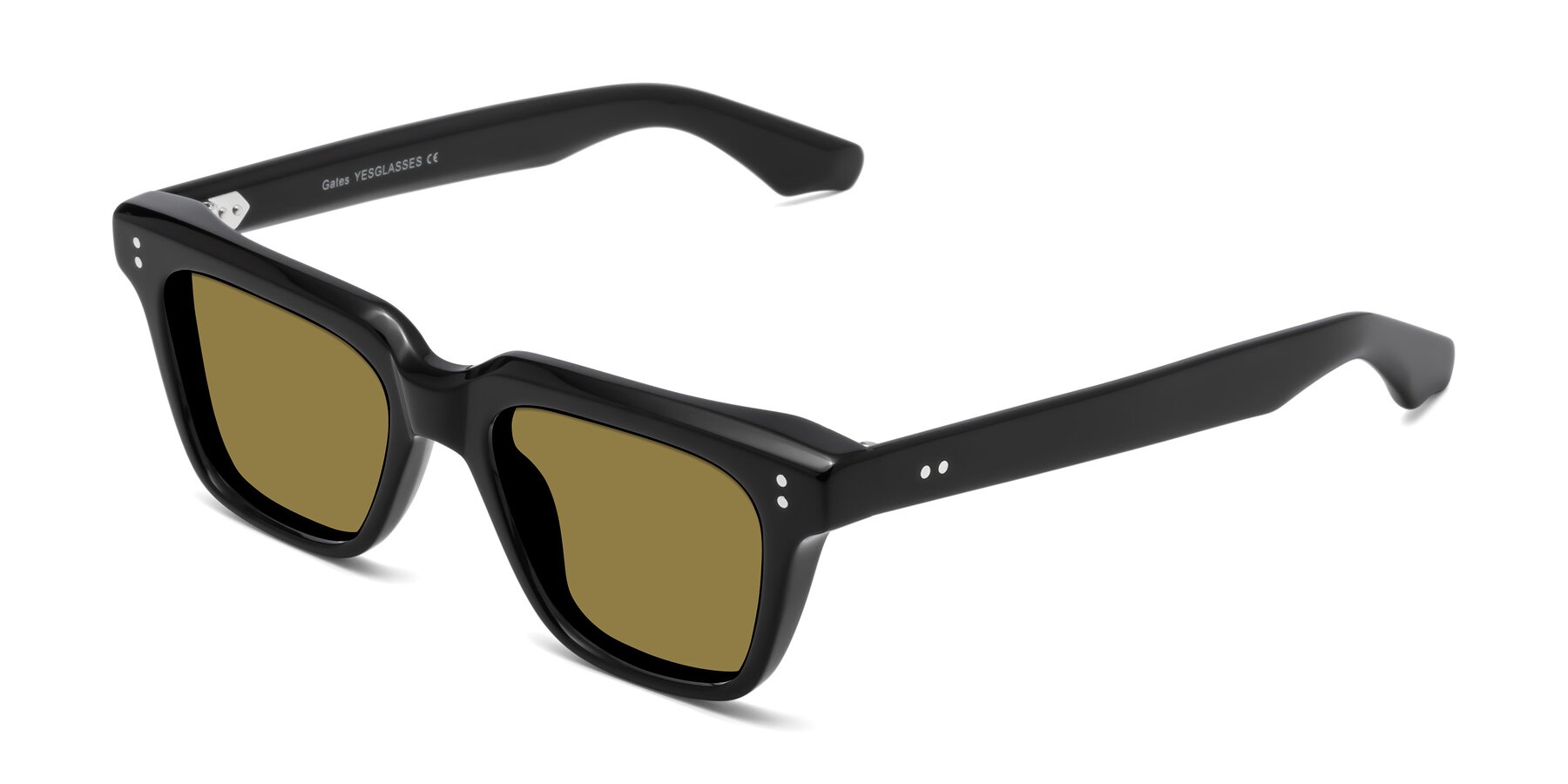 Angle of Gates in Black with Brown Polarized Lenses