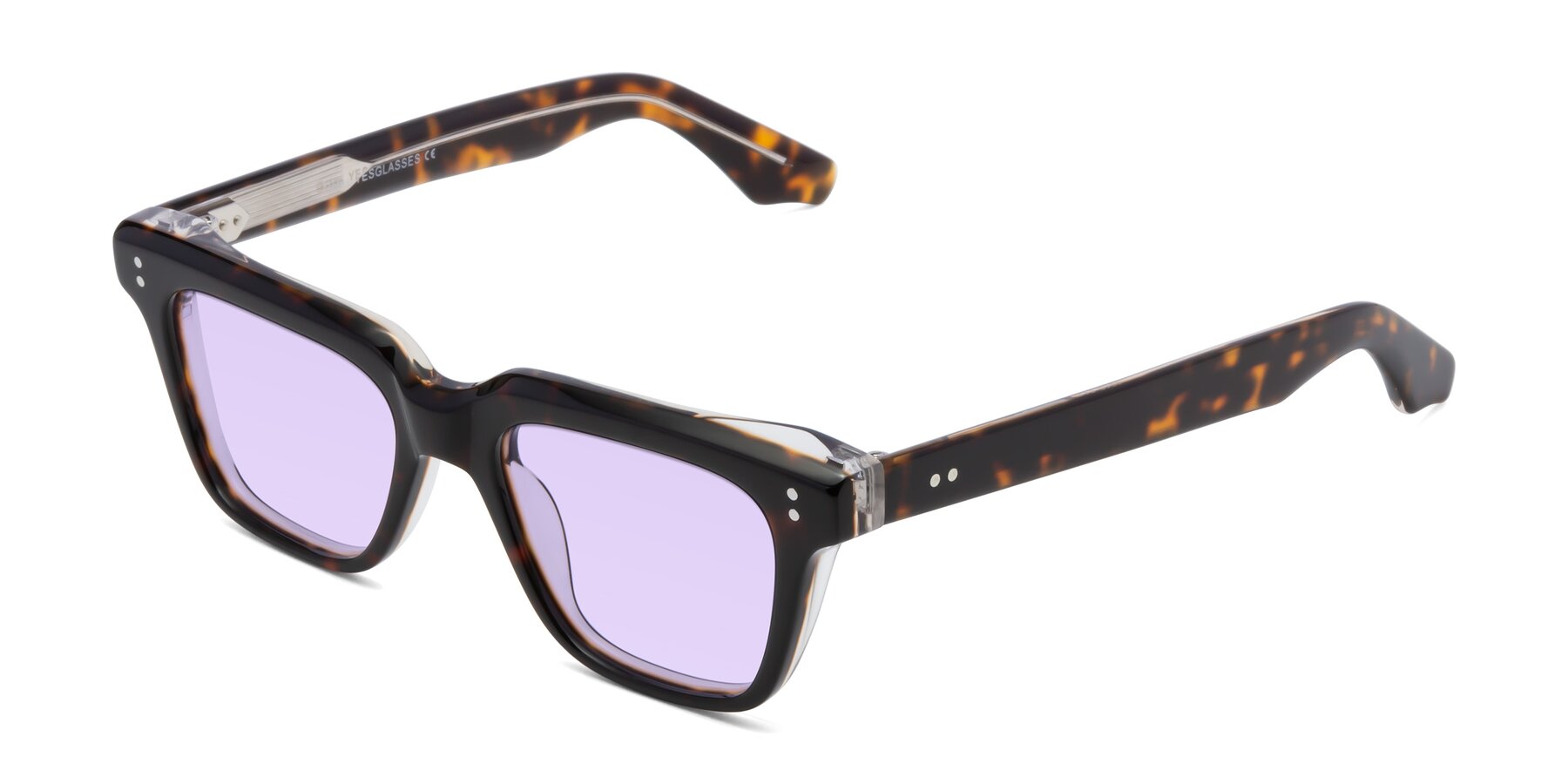 Angle of Gates in Tortoise-Clear with Light Purple Tinted Lenses