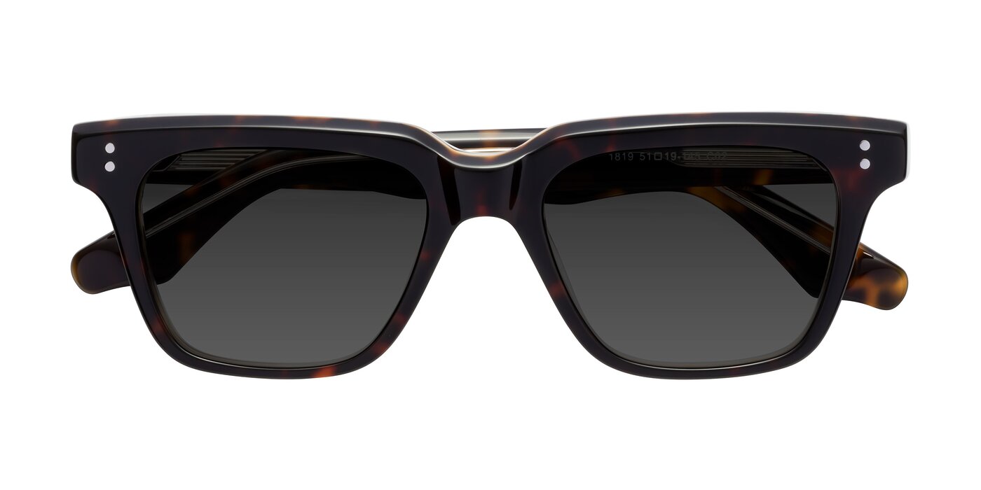 Gates - Tortoise / Clear Tinted Sunglasses