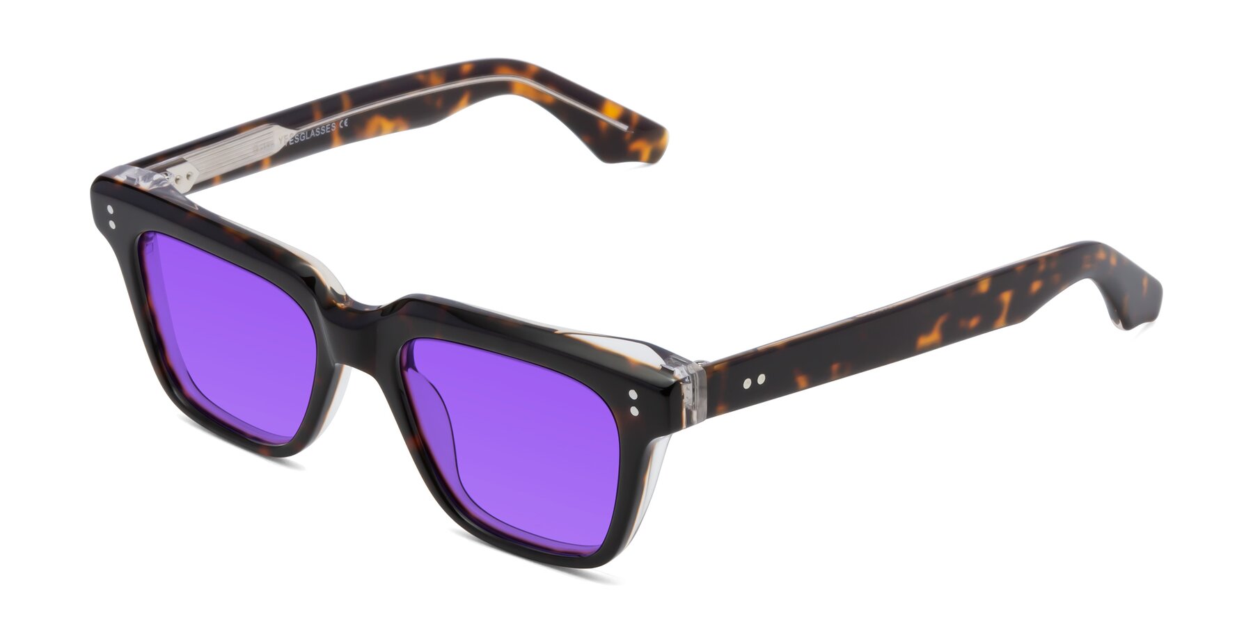 Angle of Gates in Tortoise-Clear with Purple Tinted Lenses