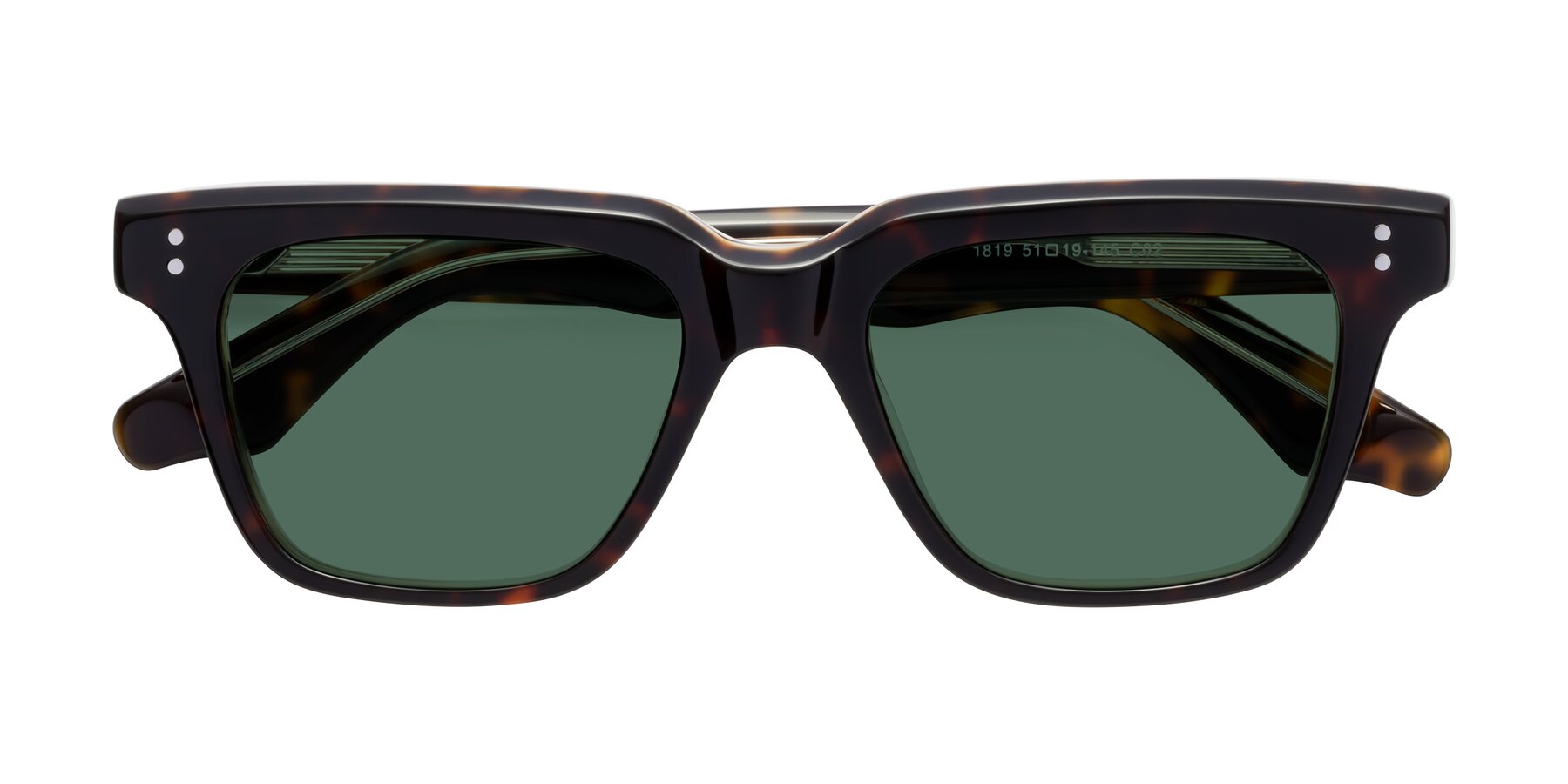 Folded Front of Gates in Tortoise-Clear with Green Polarized Lenses