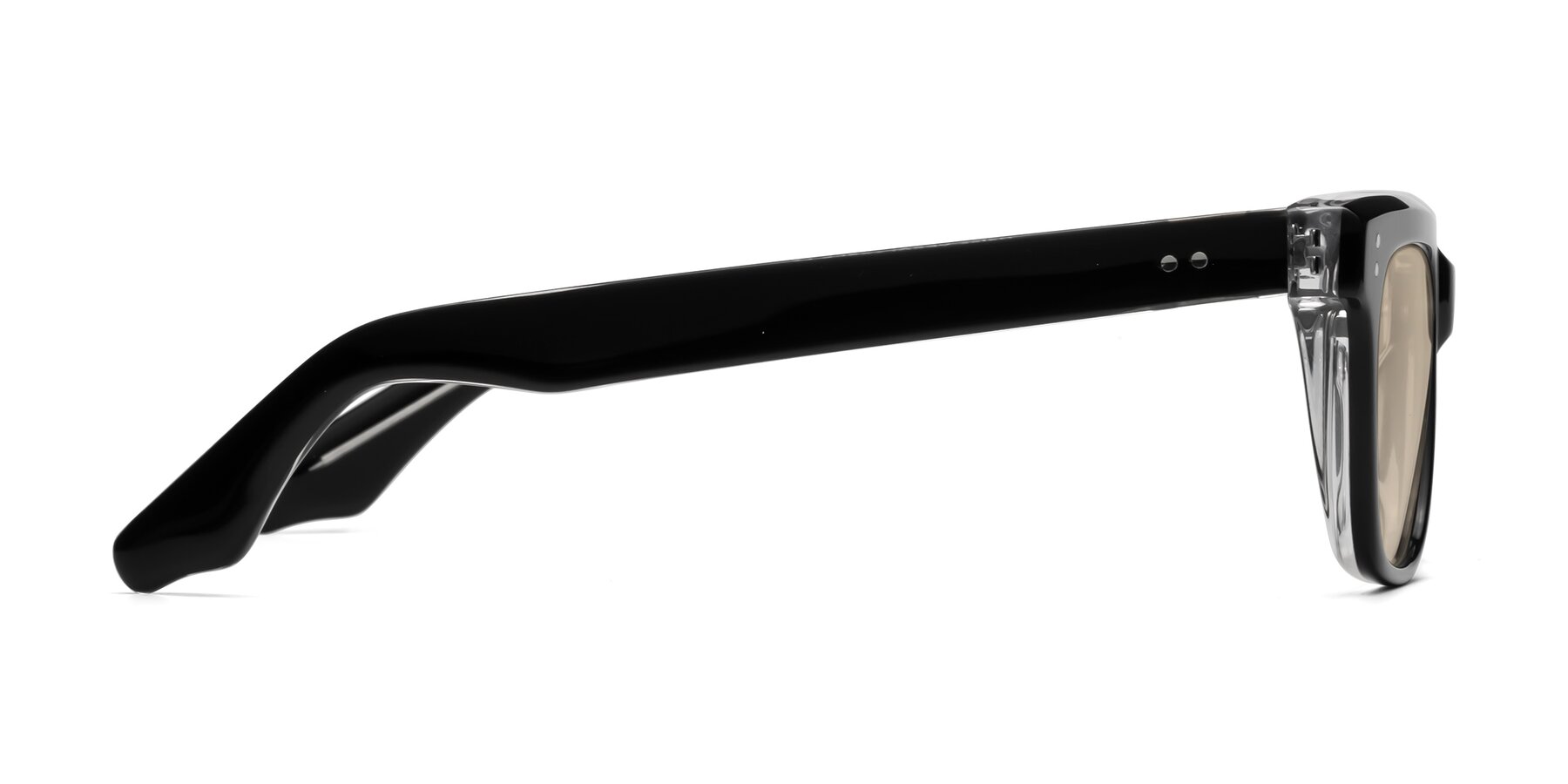 Side of Gates in Black-Clear with Light Brown Tinted Lenses