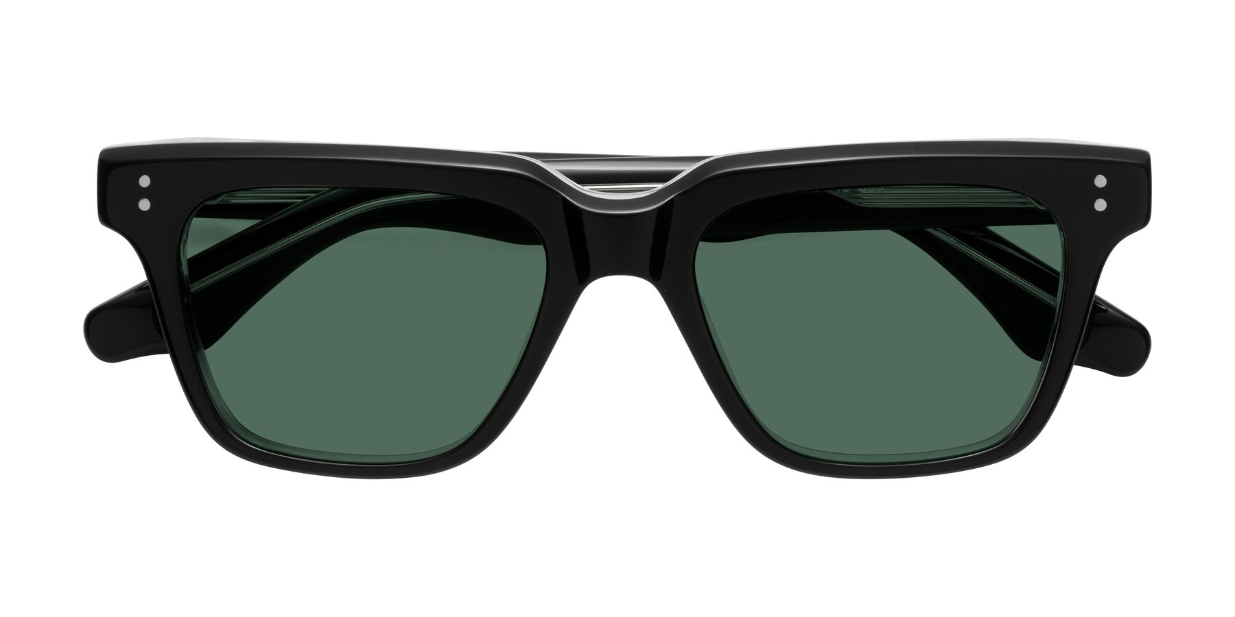 Folded Front of Gates in Black-Clear with Green Polarized Lenses