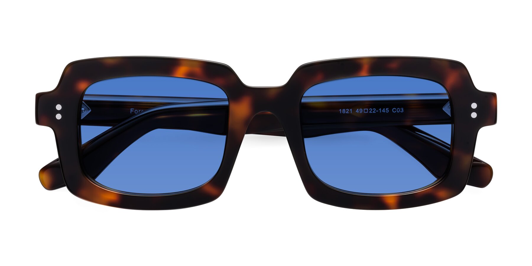 Folded Front of Force in Tortoise with Blue Tinted Lenses