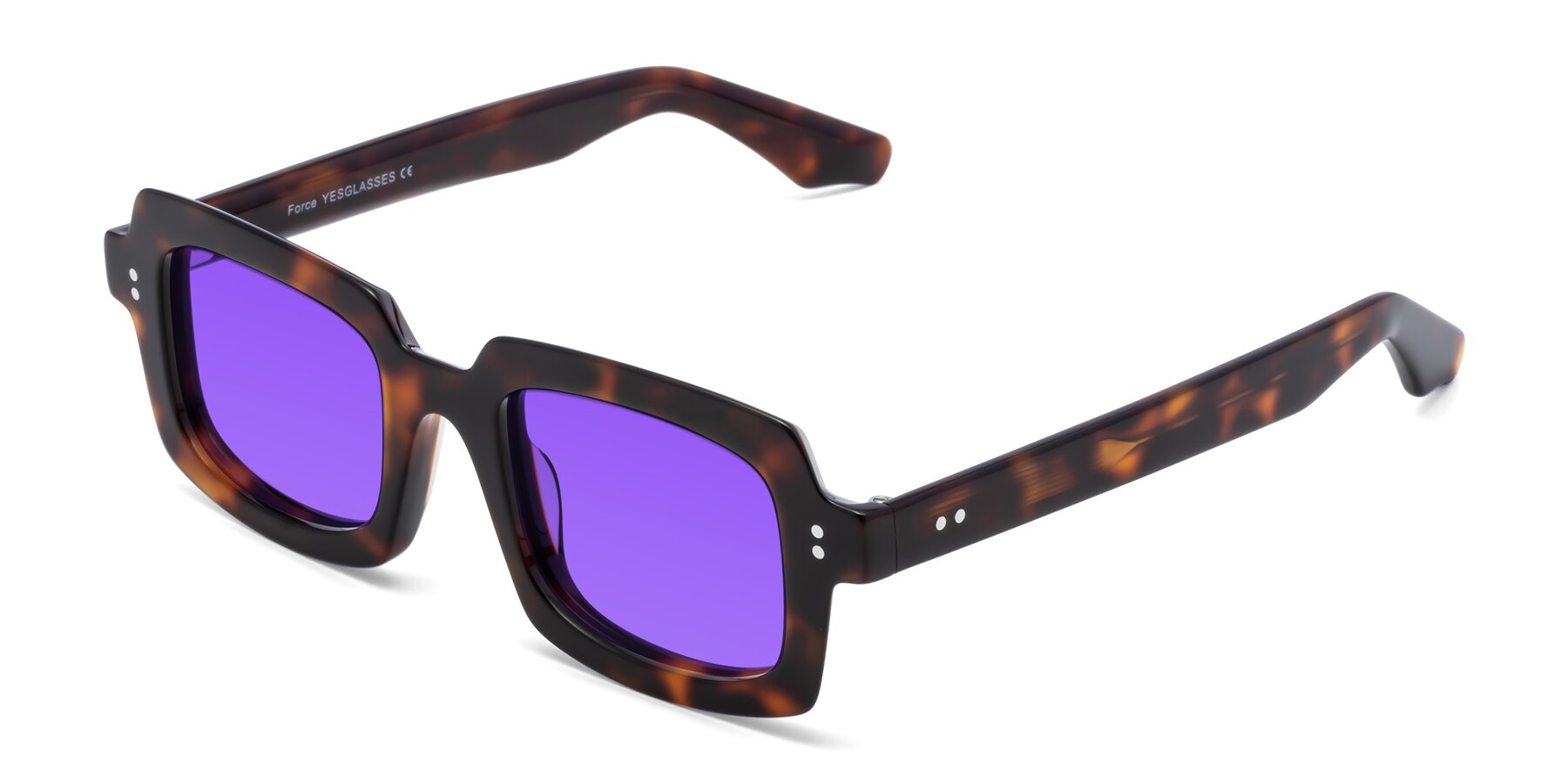 Angle of Force in Tortoise with Purple Tinted Lenses