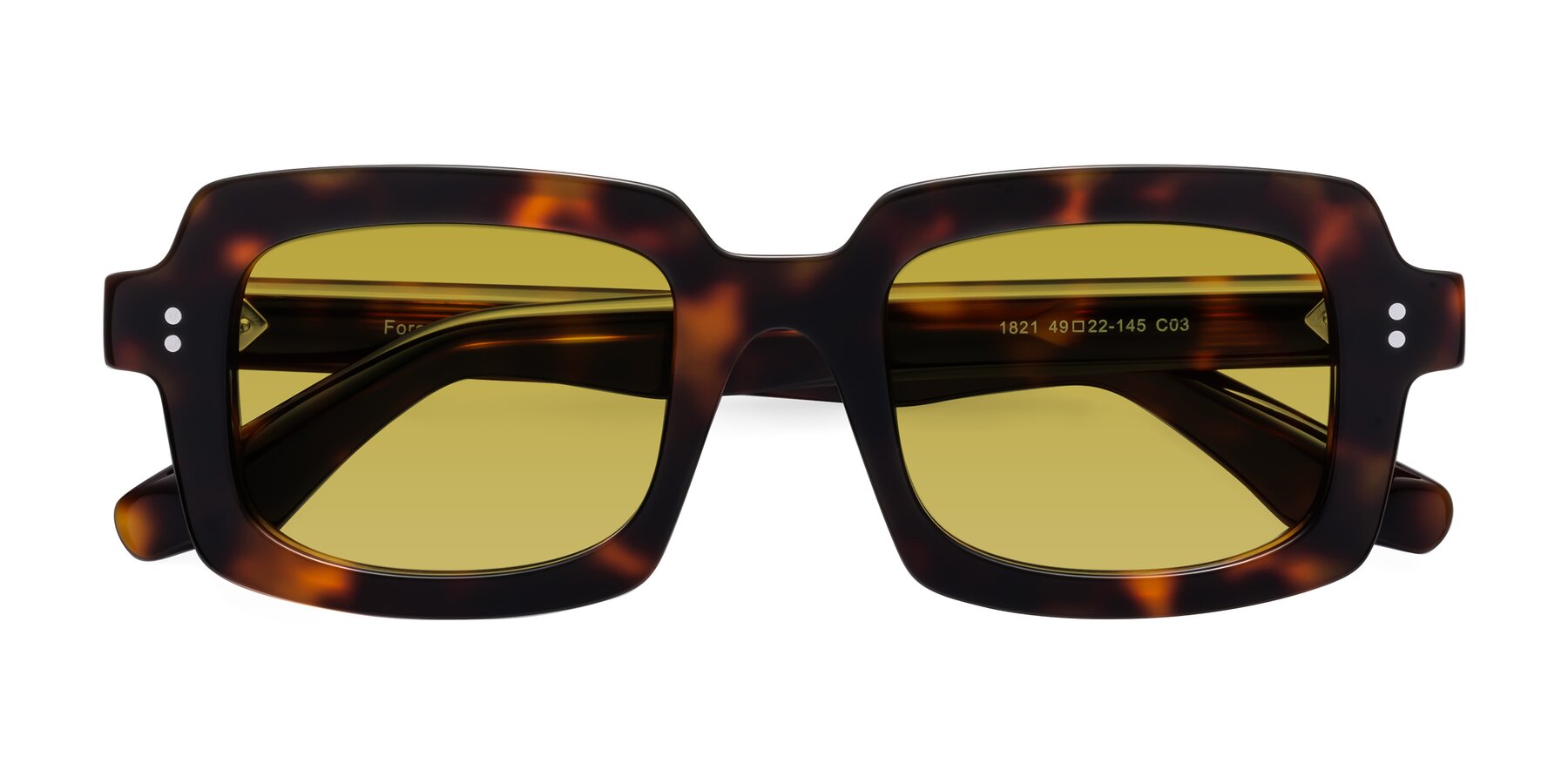 Folded Front of Force in Tortoise with Champagne Tinted Lenses