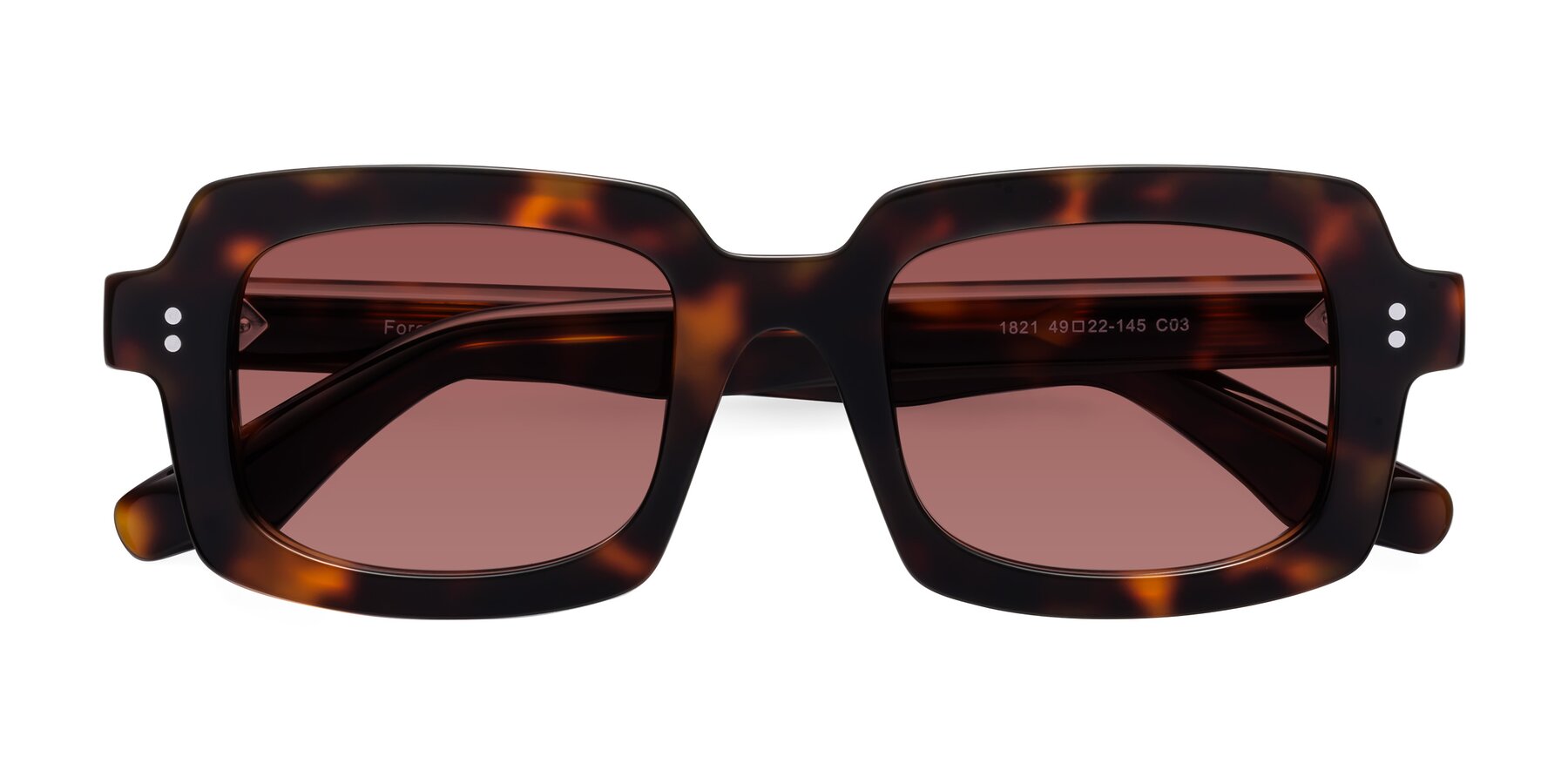 Folded Front of Force in Tortoise with Garnet Tinted Lenses