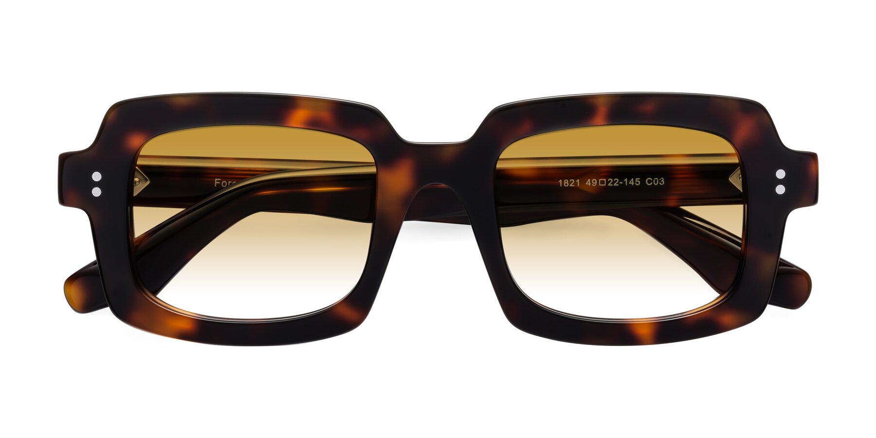 Folded Front of Force in Tortoise with Champagne Gradient Lenses
