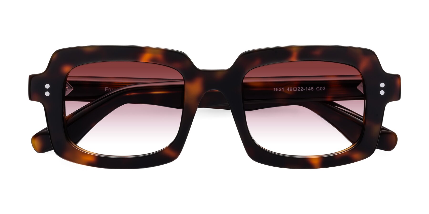 Folded Front of Force in Tortoise with Garnet Gradient Lenses