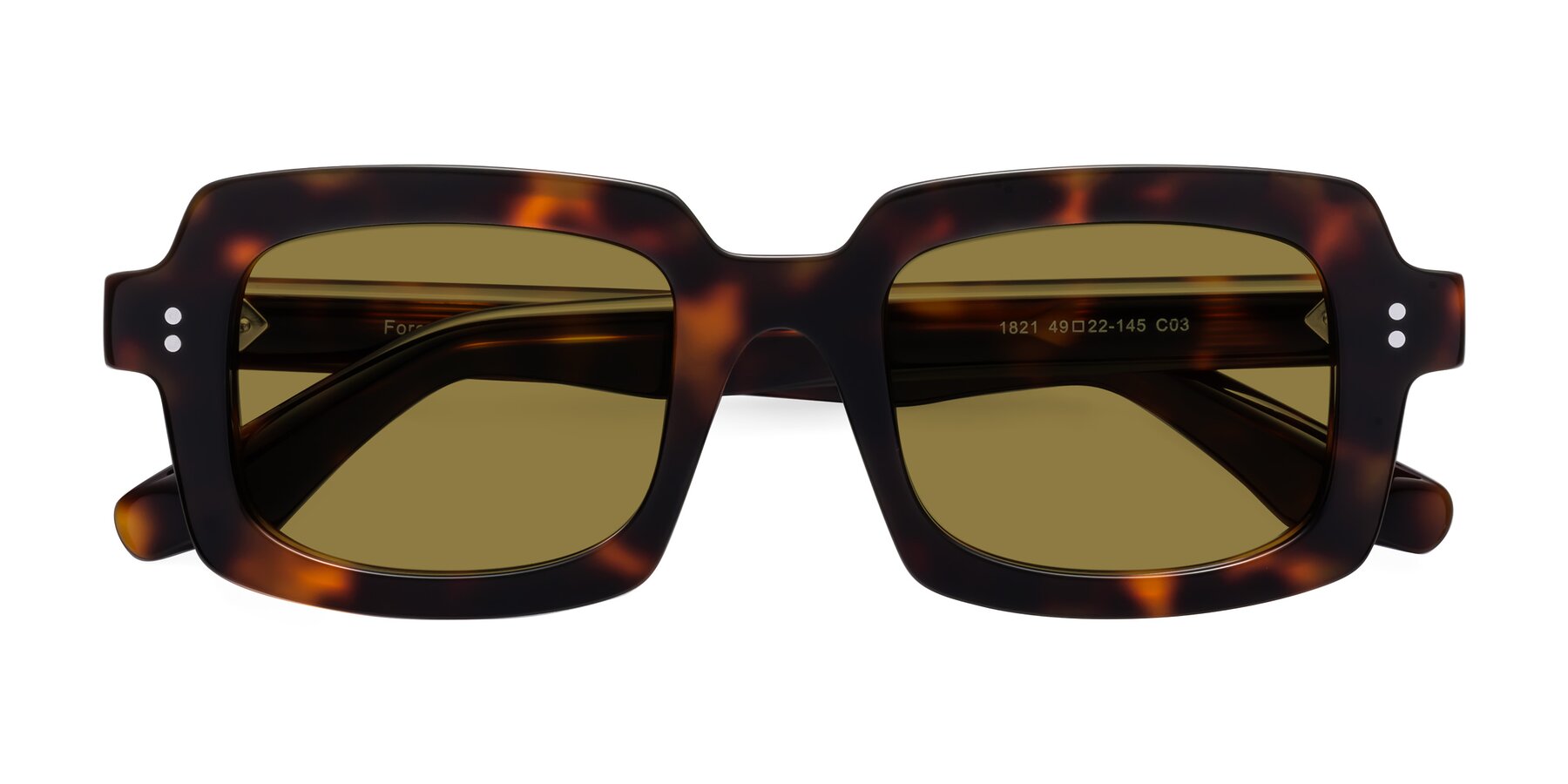 Folded Front of Force in Tortoise with Brown Polarized Lenses