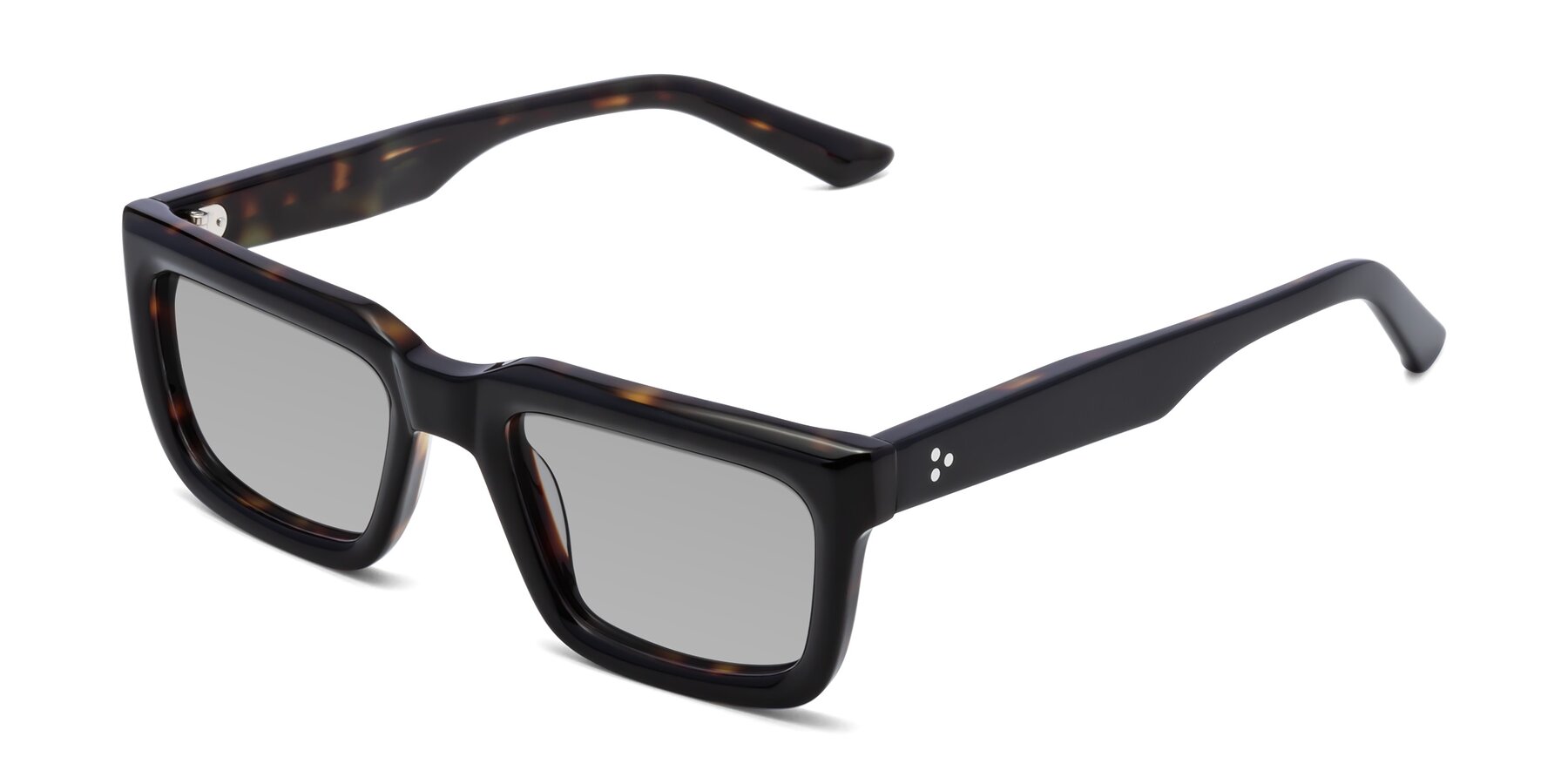 Angle of Roth in Black-Tortoise with Light Gray Tinted Lenses