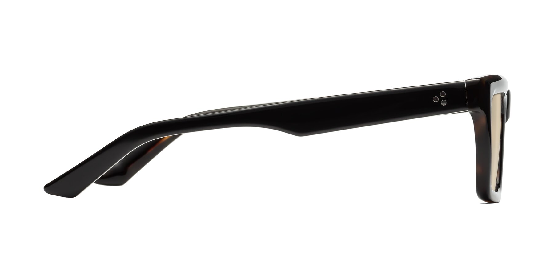 Side of Roth in Black-Tortoise with Light Brown Tinted Lenses