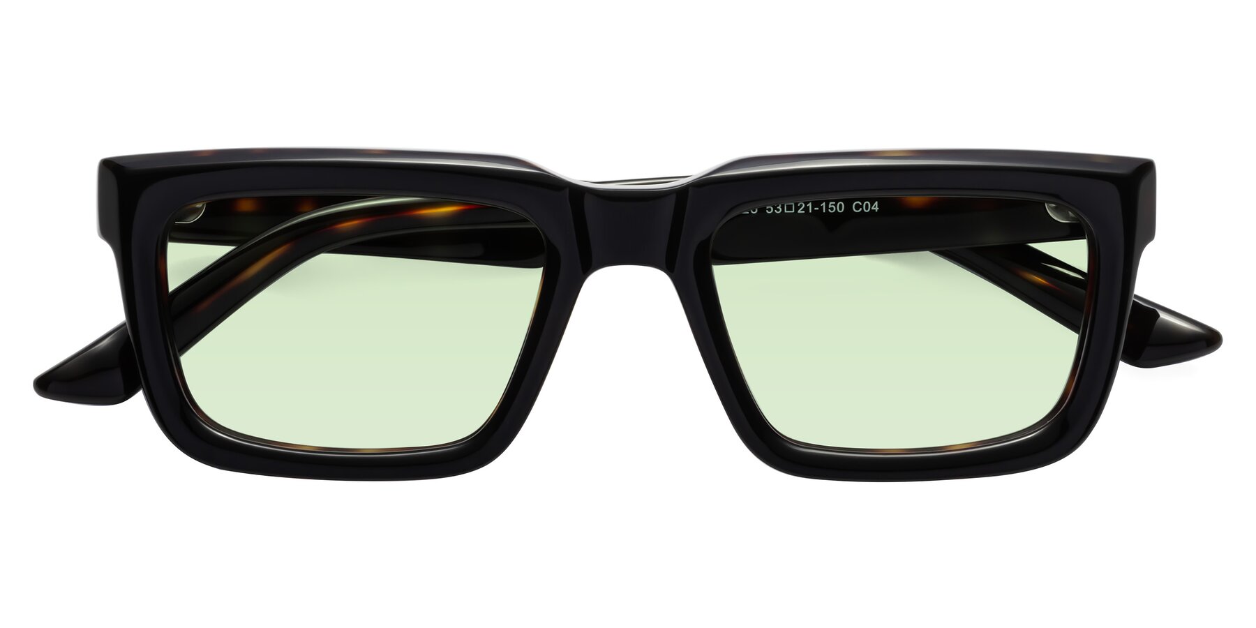 Folded Front of Roth in Black-Tortoise with Light Green Tinted Lenses