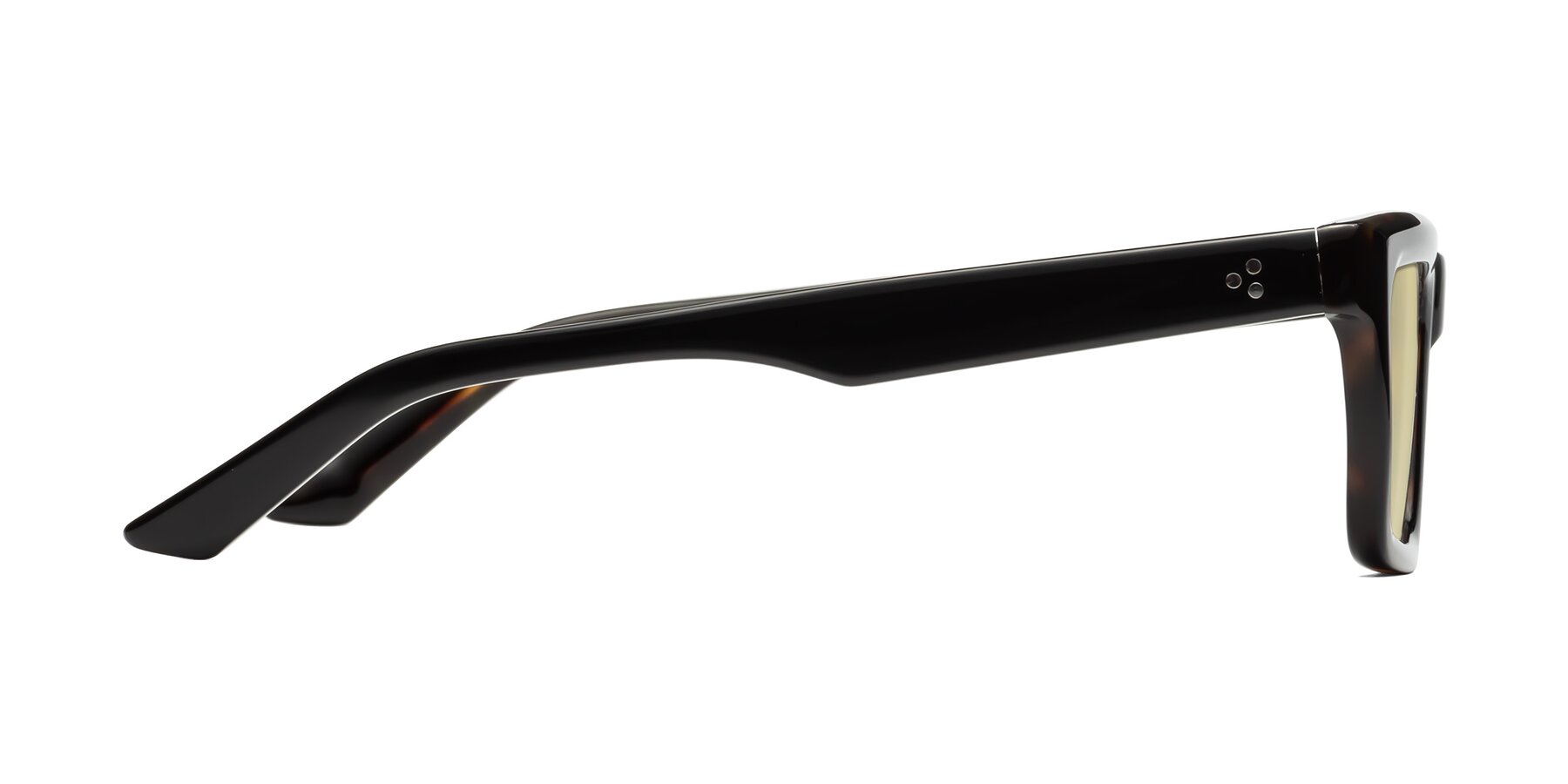 Side of Roth in Black-Tortoise with Light Champagne Tinted Lenses