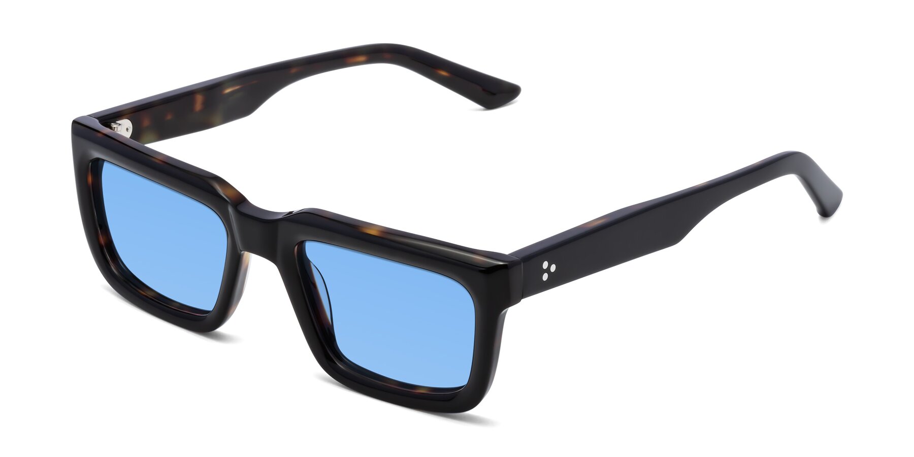 Angle of Roth in Black-Tortoise with Medium Blue Tinted Lenses