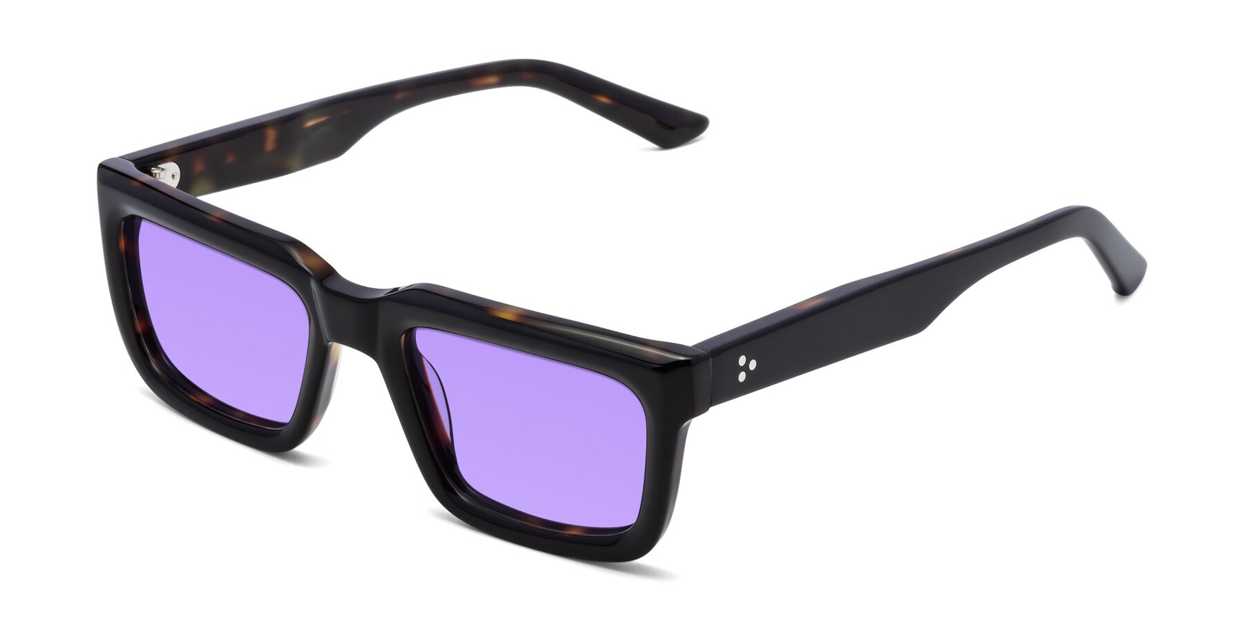 Angle of Roth in Black-Tortoise with Medium Purple Tinted Lenses