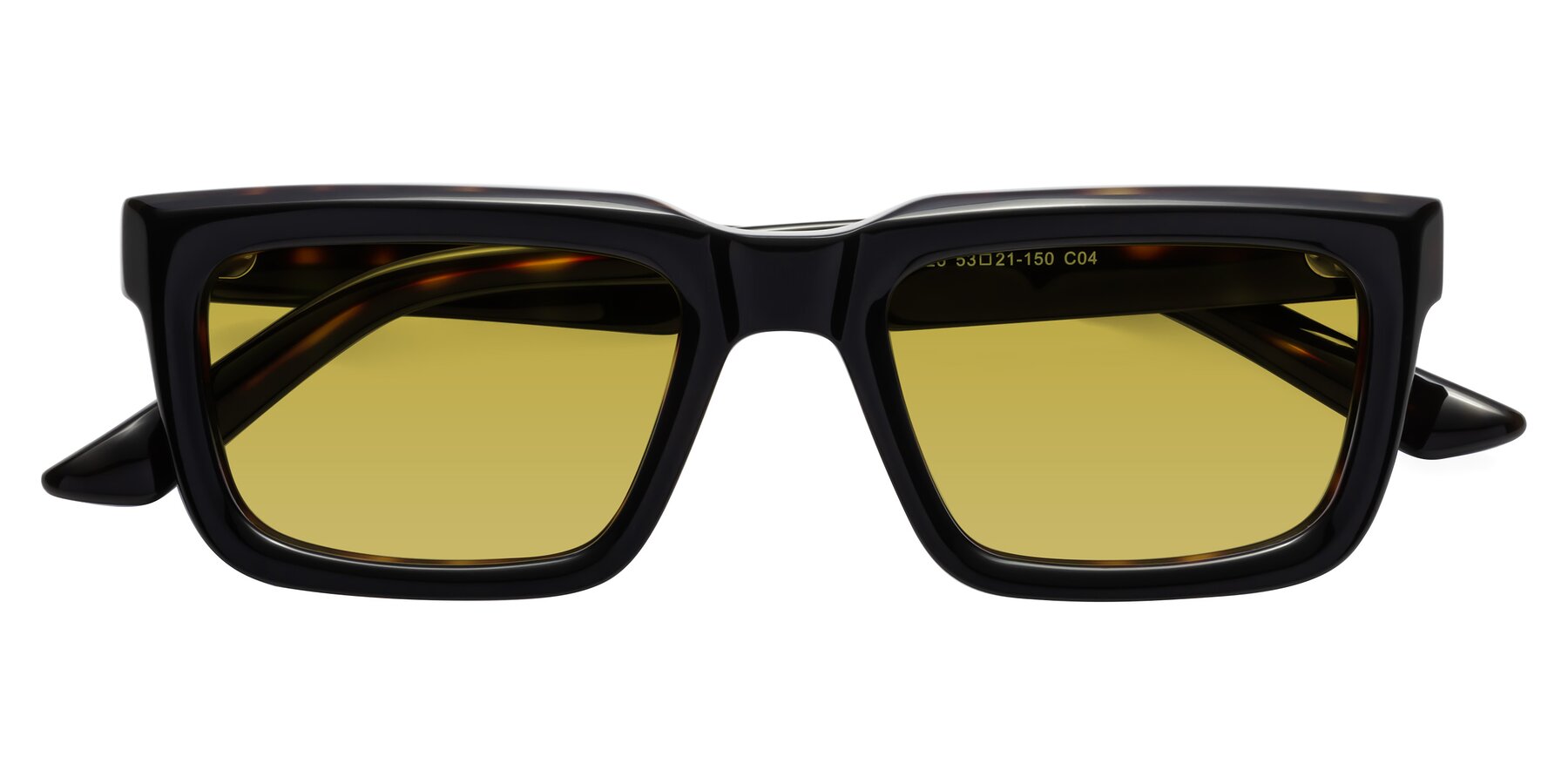 Folded Front of Roth in Black-Tortoise with Champagne Tinted Lenses