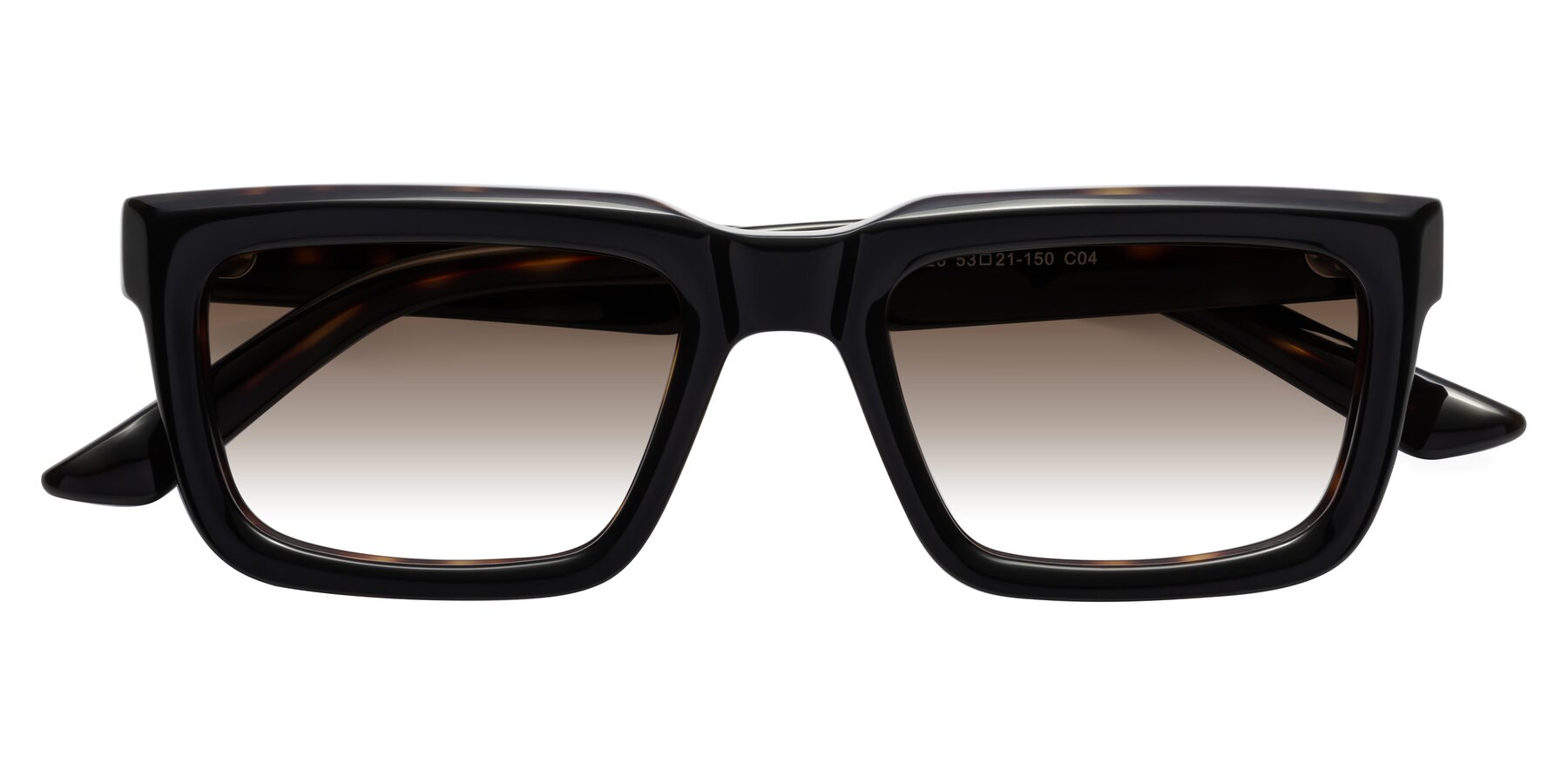 Folded Front of Roth in Black-Tortoise with Brown Gradient Lenses