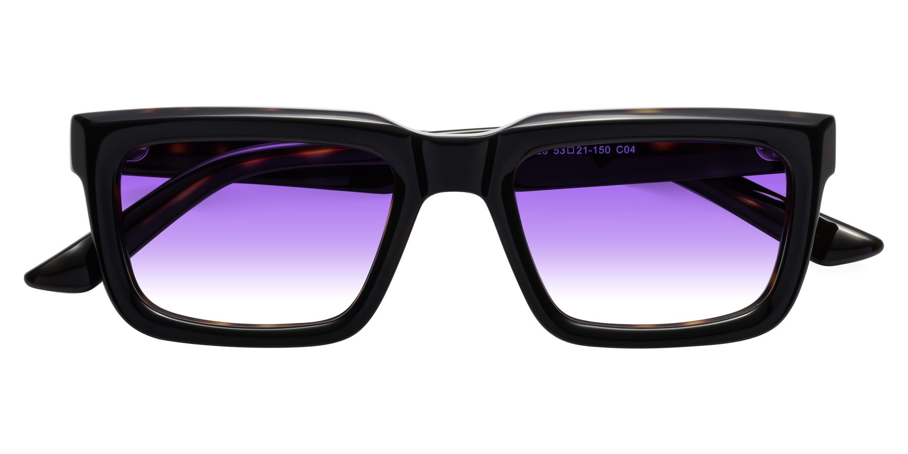 Folded Front of Roth in Black-Tortoise with Purple Gradient Lenses