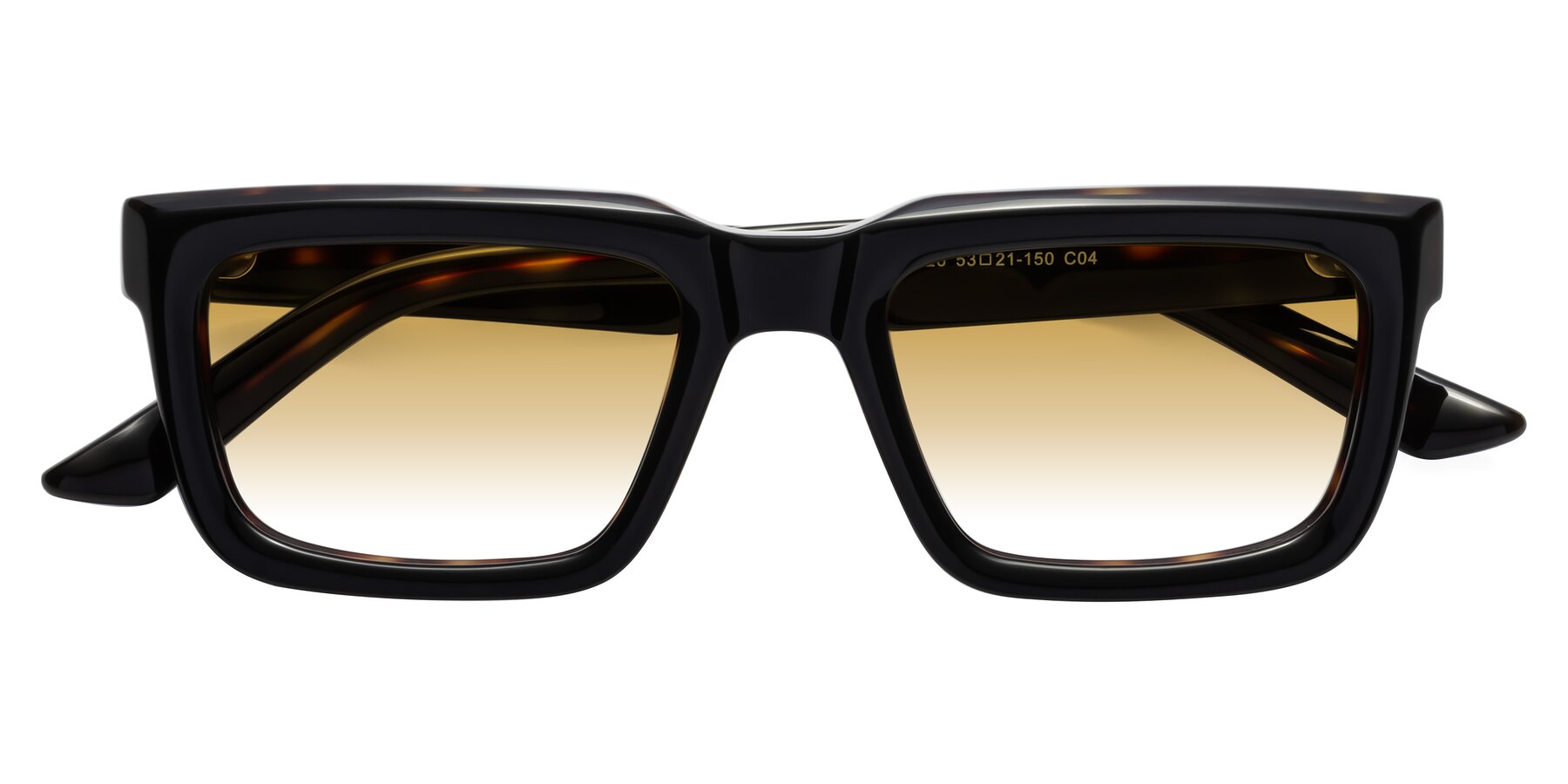 Folded Front of Roth in Black-Tortoise with Champagne Gradient Lenses