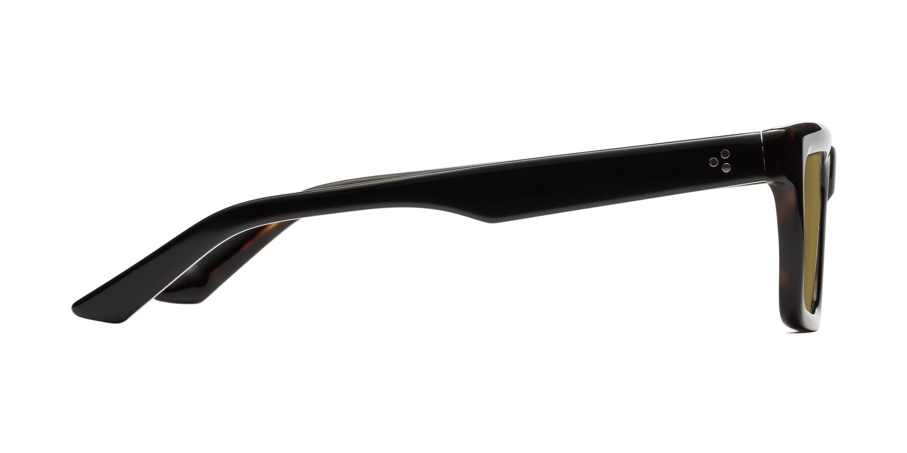 Side of Roth in Black-Tortoise with Brown Polarized Lenses