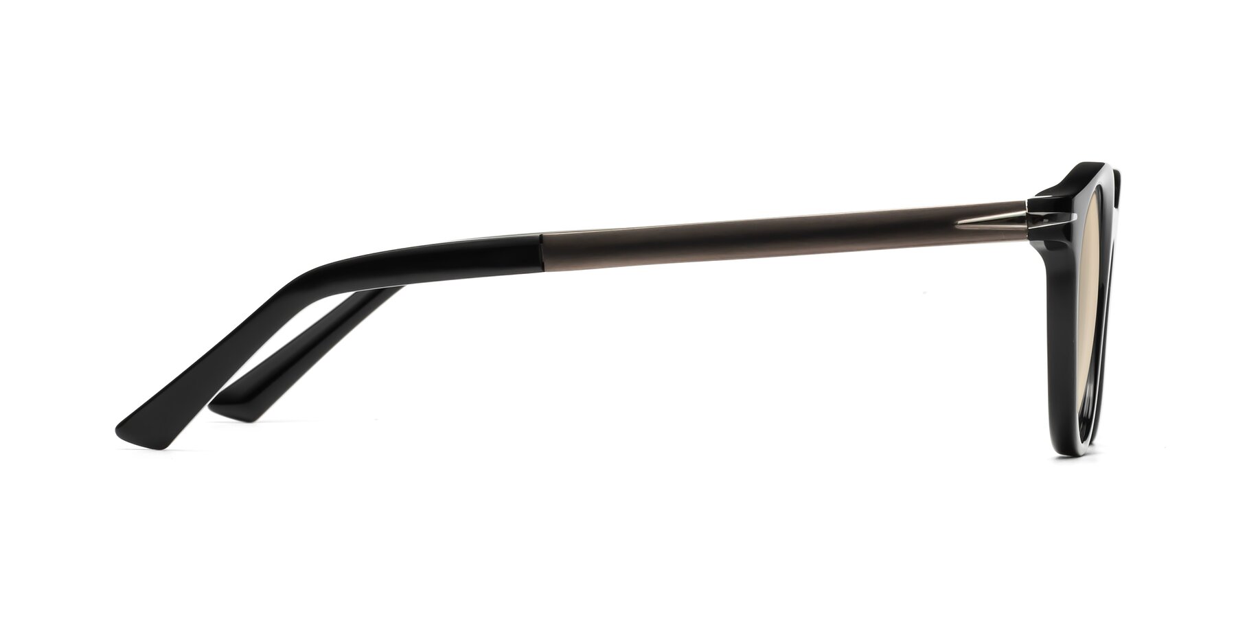 Side of Cycle in Black with Light Brown Tinted Lenses