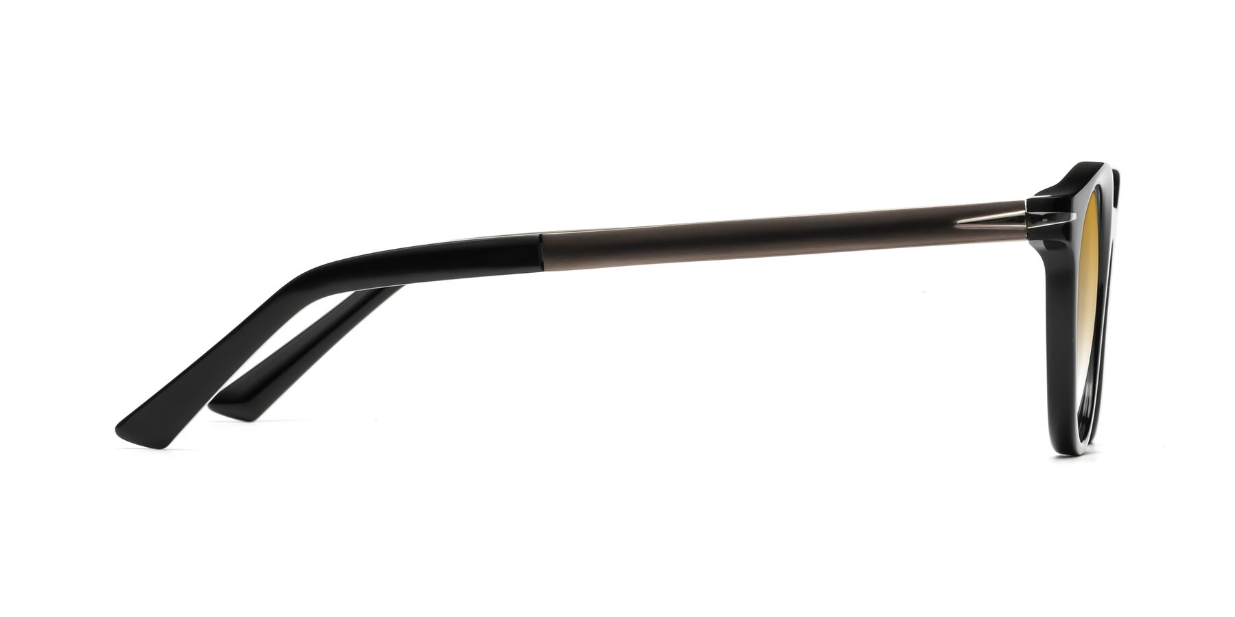 Side of Cycle in Black with Champagne Gradient Lenses